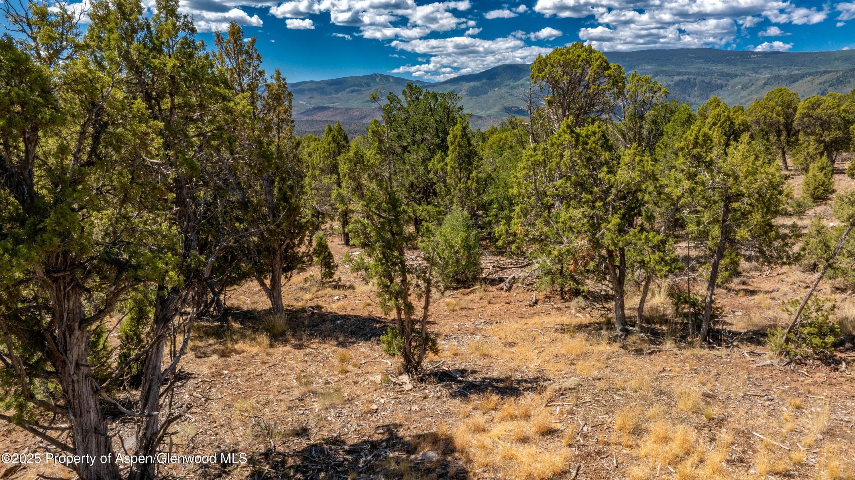 3292 Elk Springs Drive, Glenwood Springs, CO 81601 - Photo 17