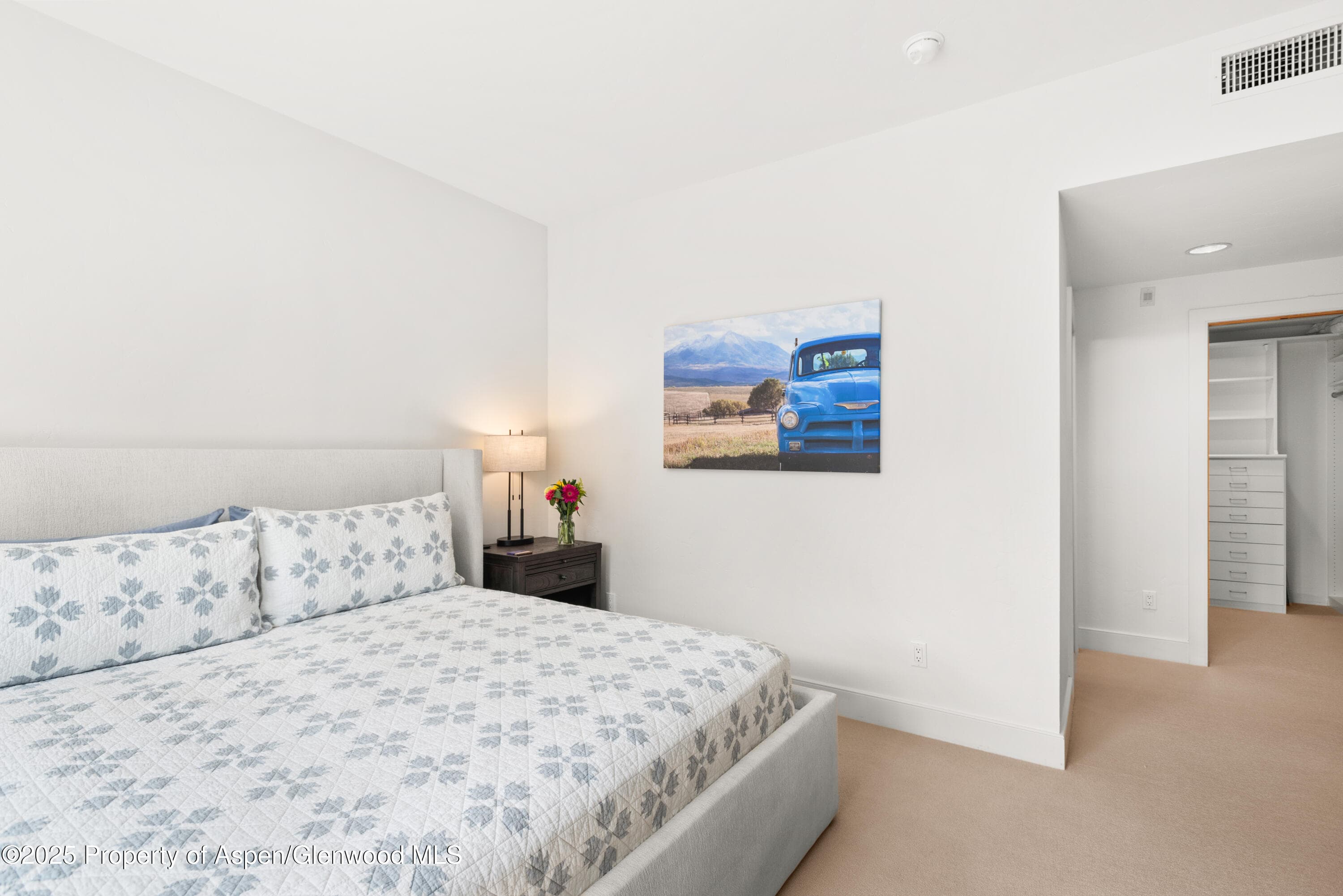 227 Midland Avenue #24, Basalt, CO 81621 - Photo 5