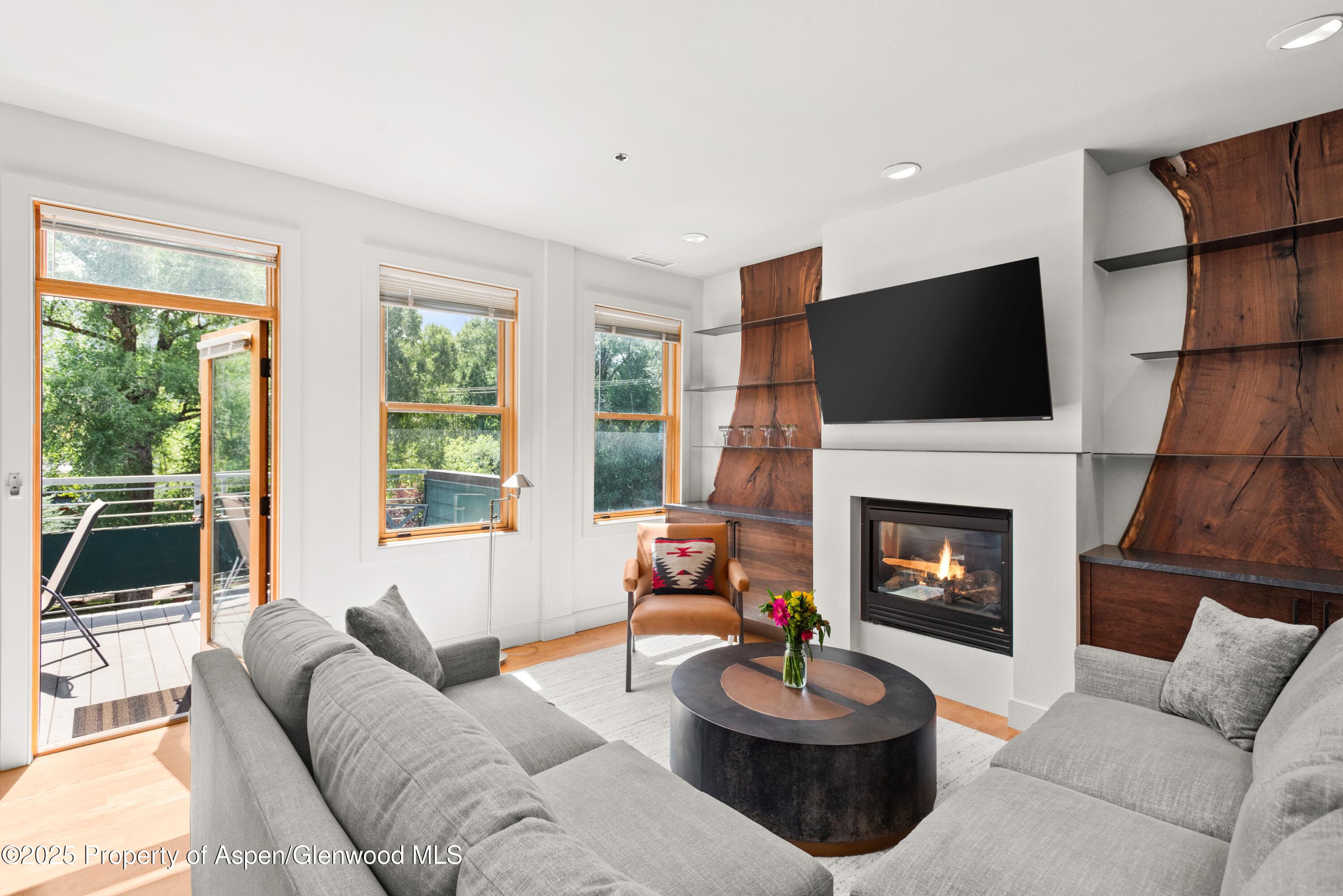 227 Midland Avenue #24, Basalt, CO 81621