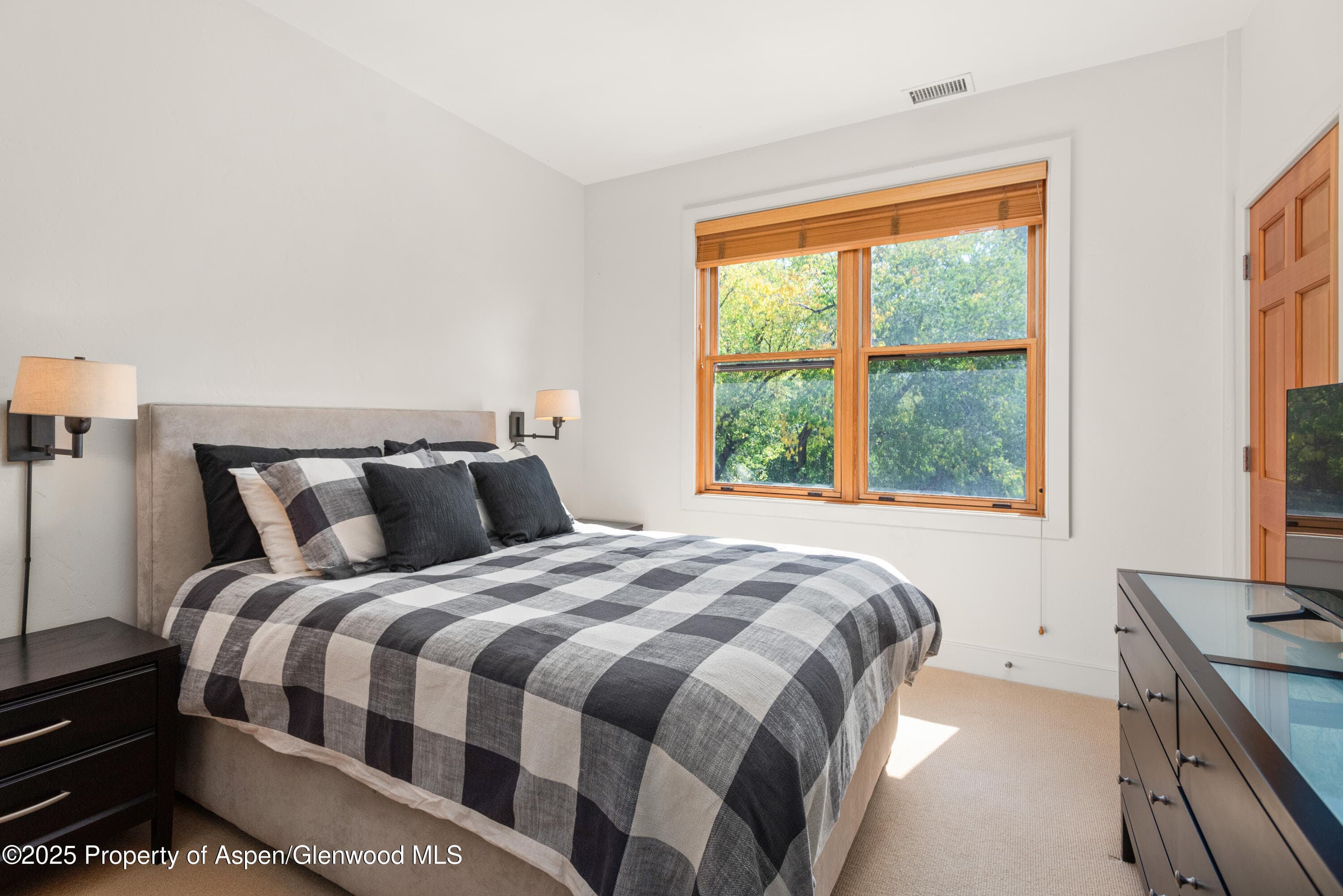227 Midland Avenue #24, Basalt, CO 81621 - Photo 6
