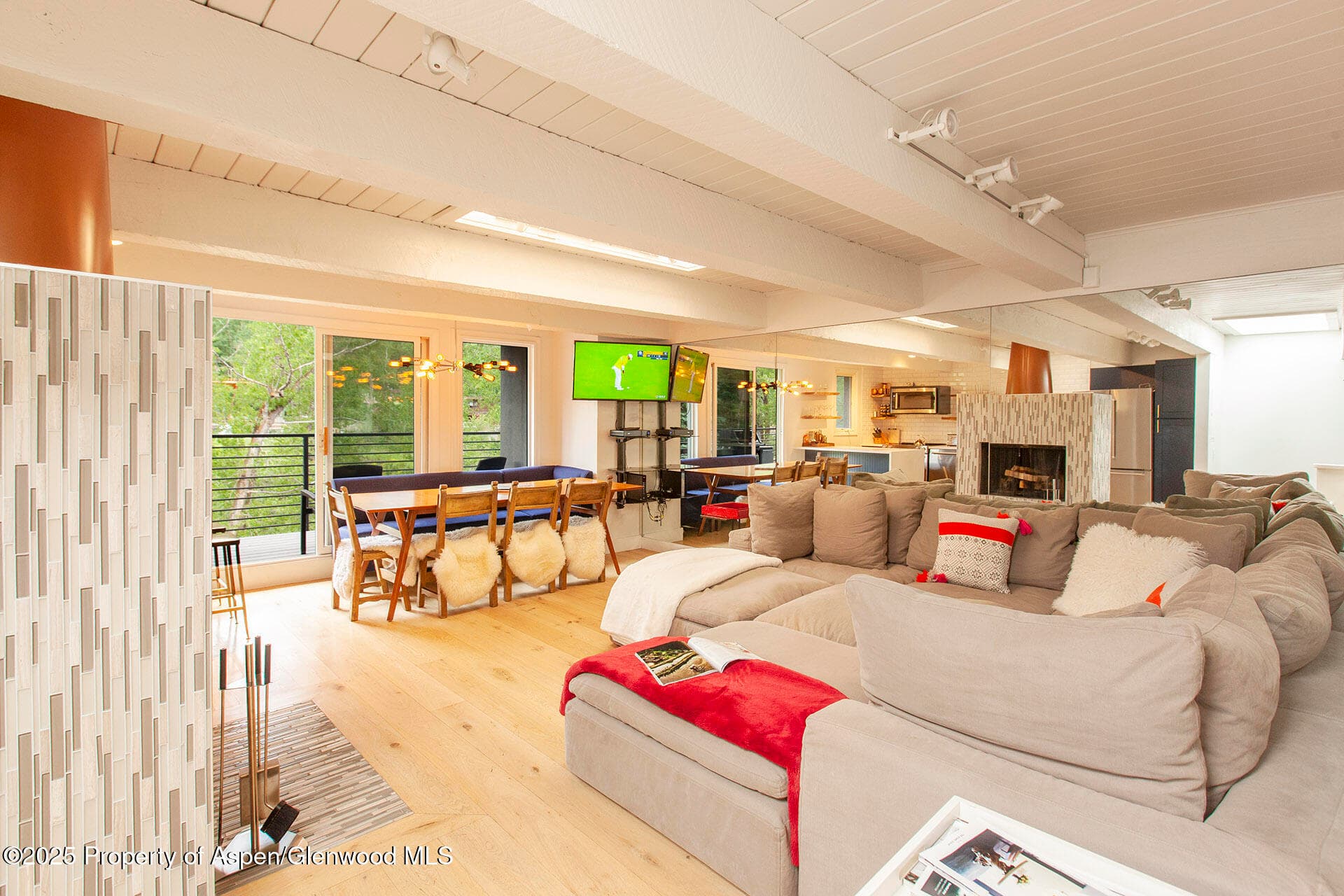 1039 E Cooper Avenue 16a, Aspen, CO 81611 - Photo 3