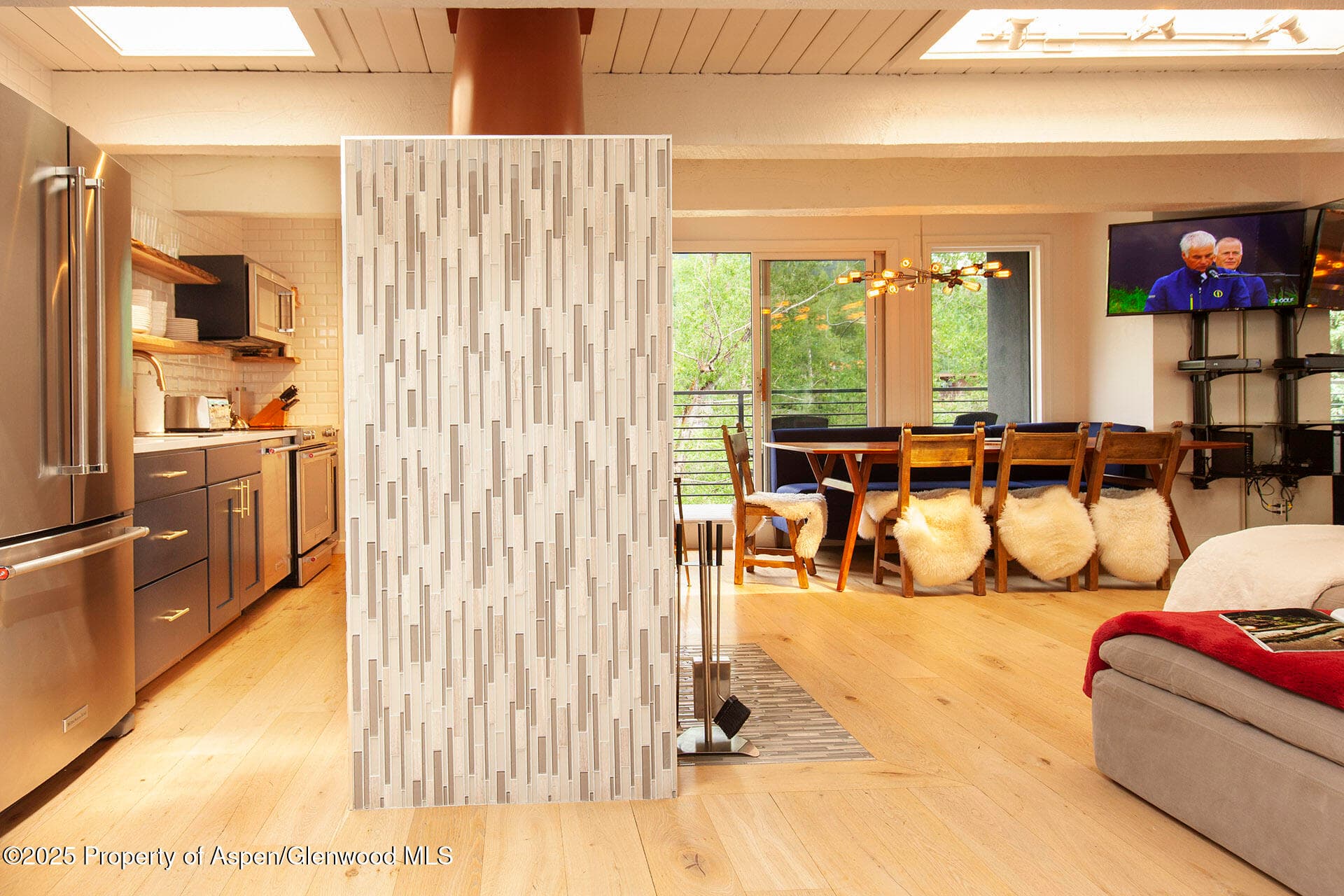 1039 E Cooper Avenue 16a, Aspen, CO 81611 - Photo 4