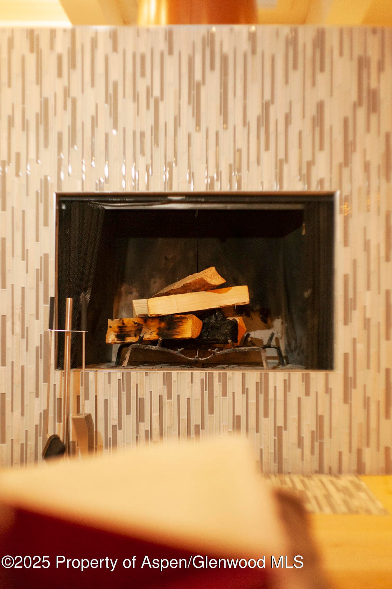 1039 E Cooper Avenue 16a, Aspen, CO 81611 - Photo 10