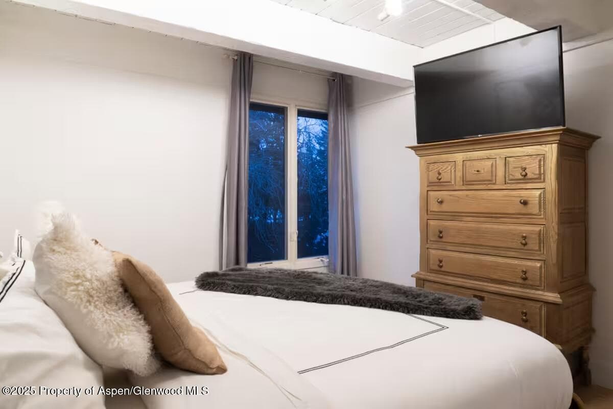 1039 E Cooper Avenue 16a, Aspen, CO 81611 - Photo 18