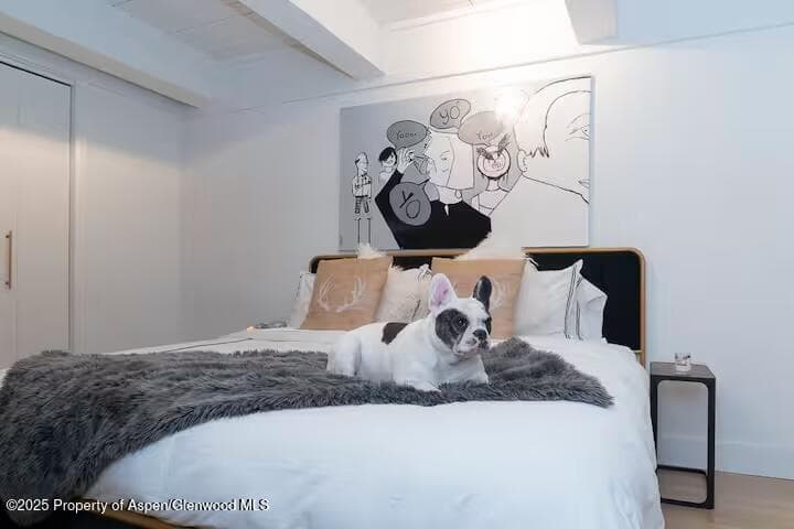 1039 E Cooper Avenue 16a, Aspen, CO 81611 - Photo 19