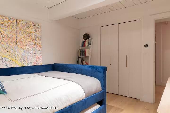 1039 E Cooper Avenue 16a, Aspen, CO 81611 - Photo 22