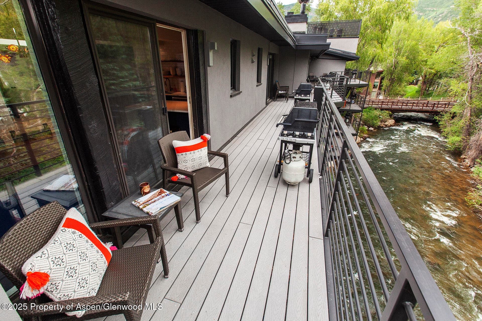 1039 E Cooper Avenue 16a, Aspen, CO 81611 - Photo 32