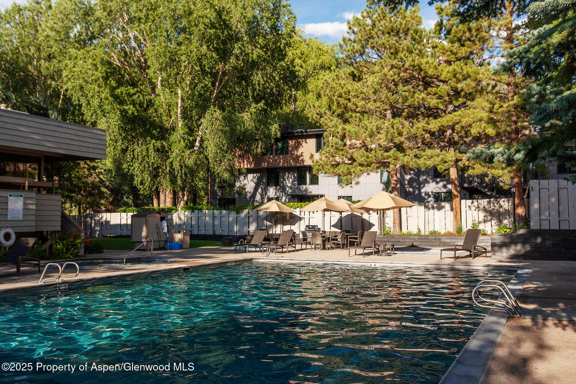 1039 E Cooper Avenue 16a, Aspen, CO 81611 - Photo 33