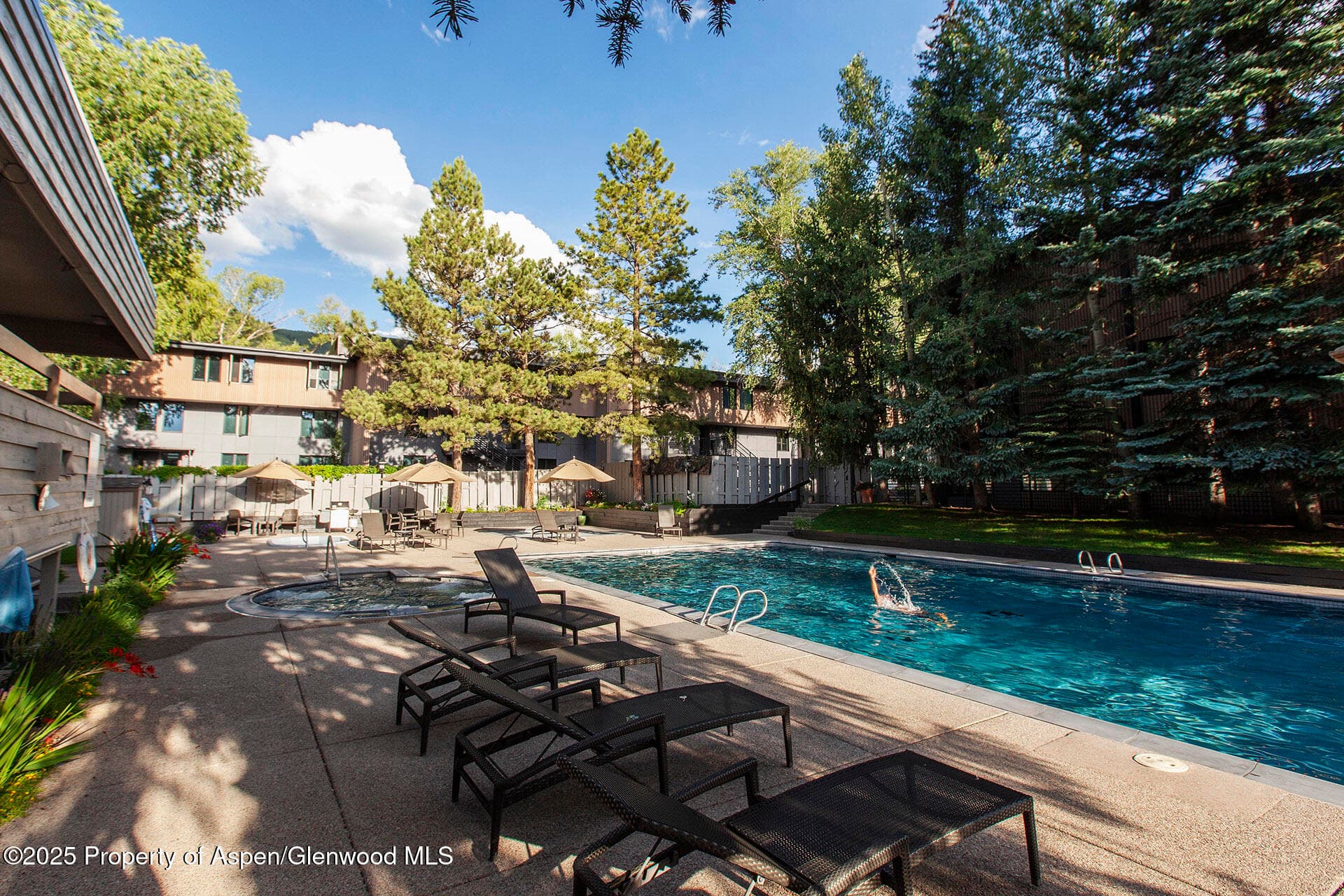1039 E Cooper Avenue 16a, Aspen, CO 81611 - Photo 34