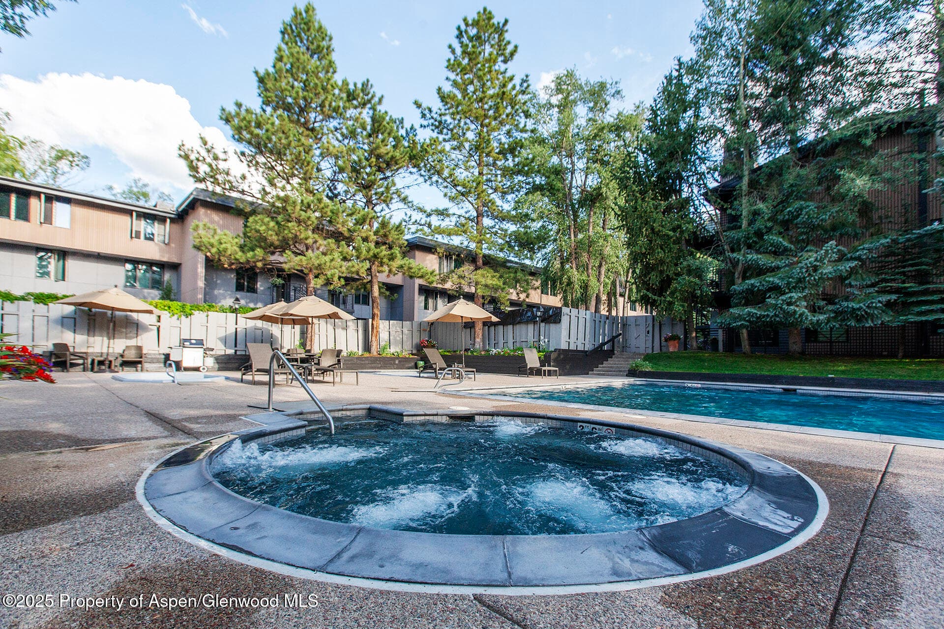 1039 E Cooper Avenue 16a, Aspen, CO 81611 - Photo 35