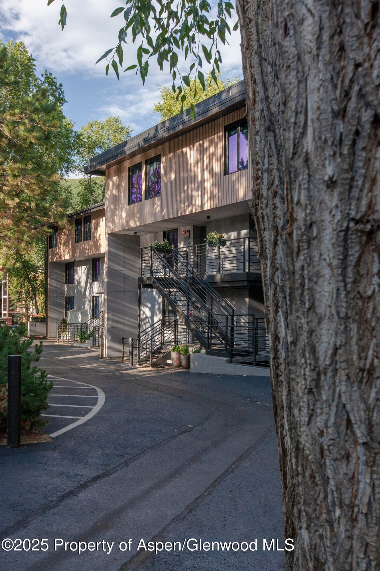 1039 E Cooper Avenue 16a, Aspen, CO 81611 - Photo 37