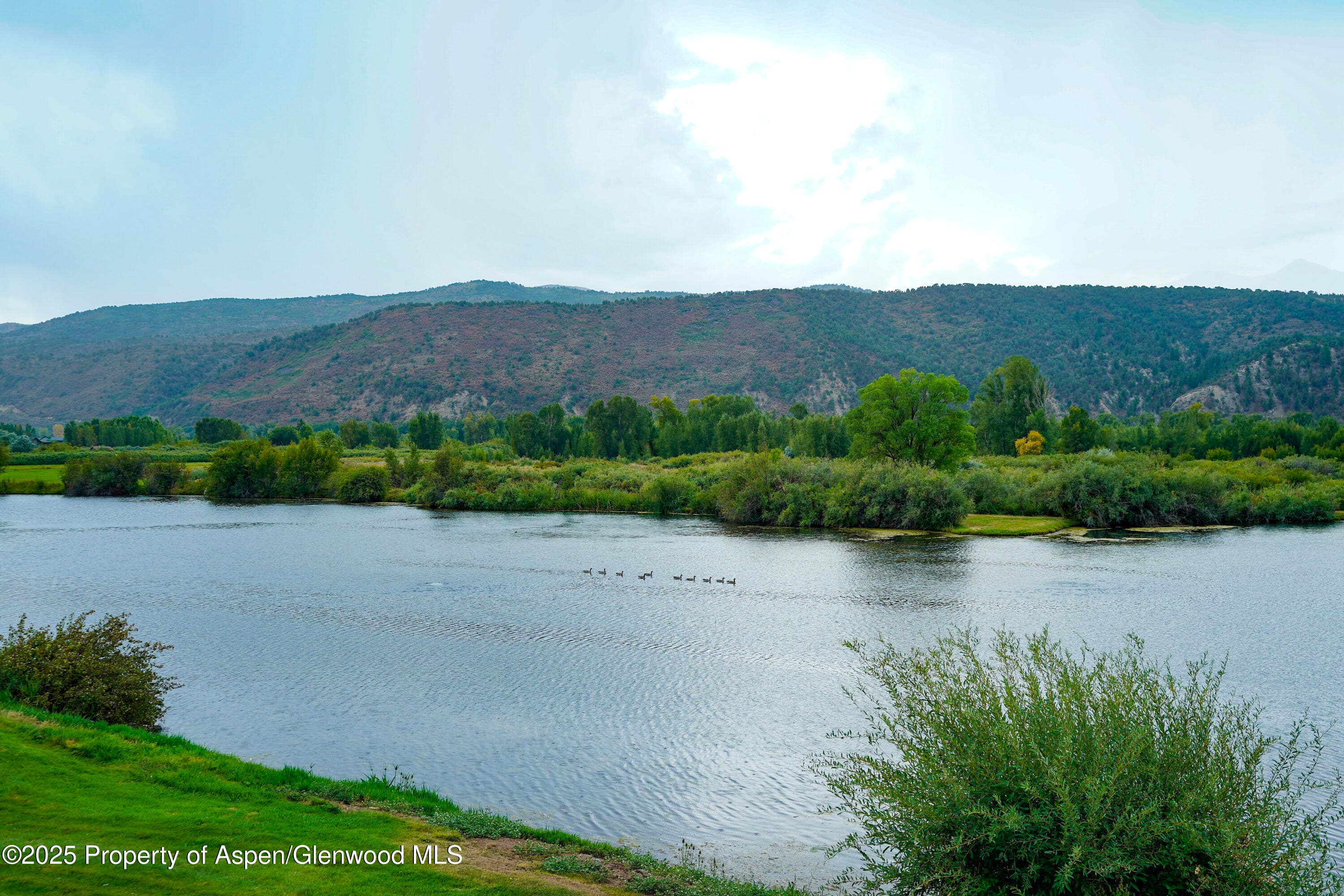 14913 Highway 82 113, Carbondale, CO 81623 - Photo 8