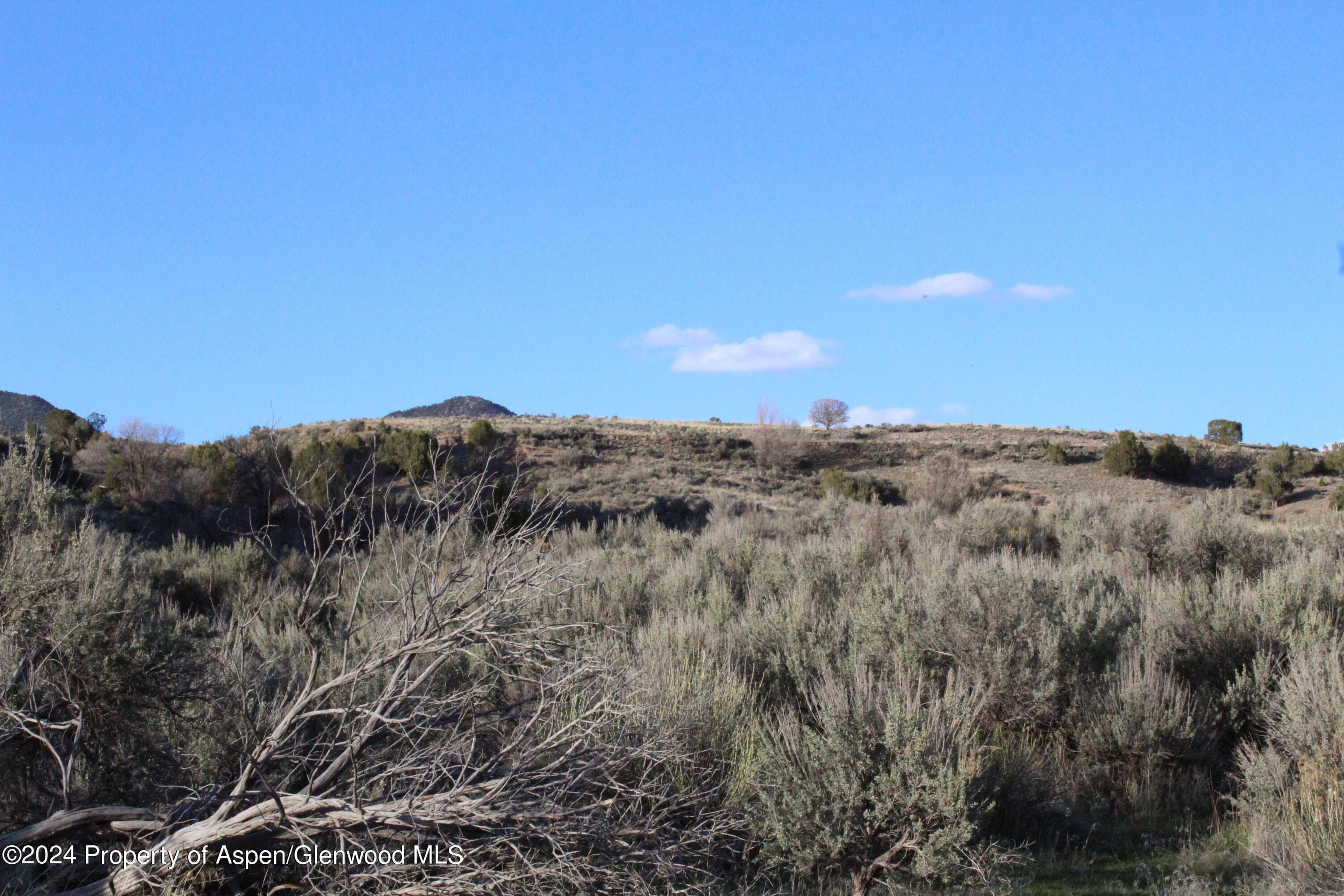 TBD Grand Avenue, Silt, CO 81652 - Photo 9