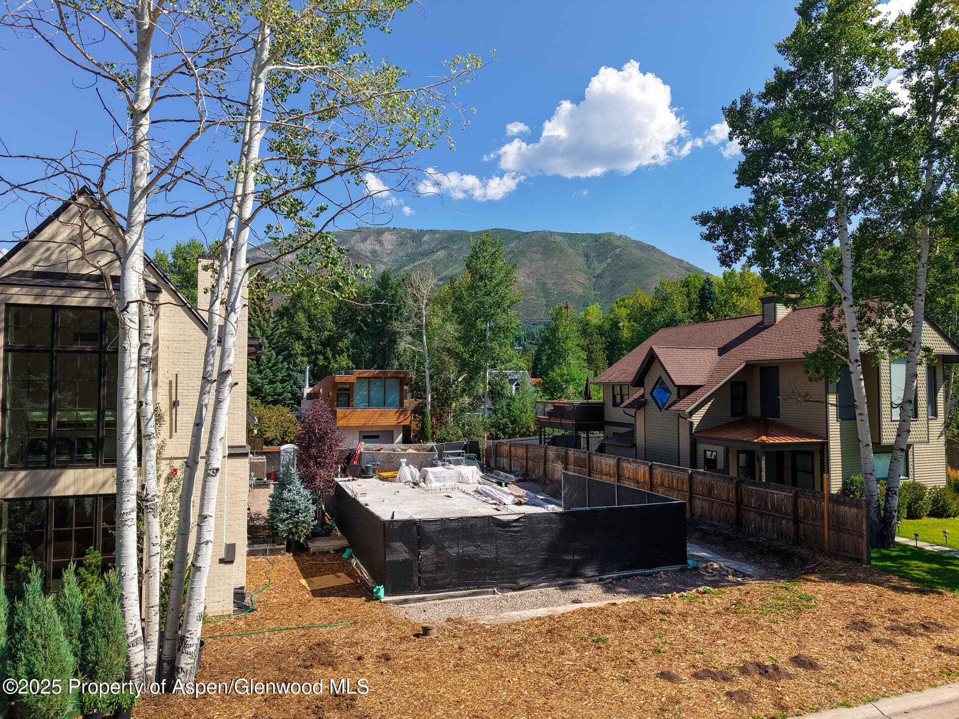 622 W Smuggler Street, Aspen, CO 81611 - Photo 4
