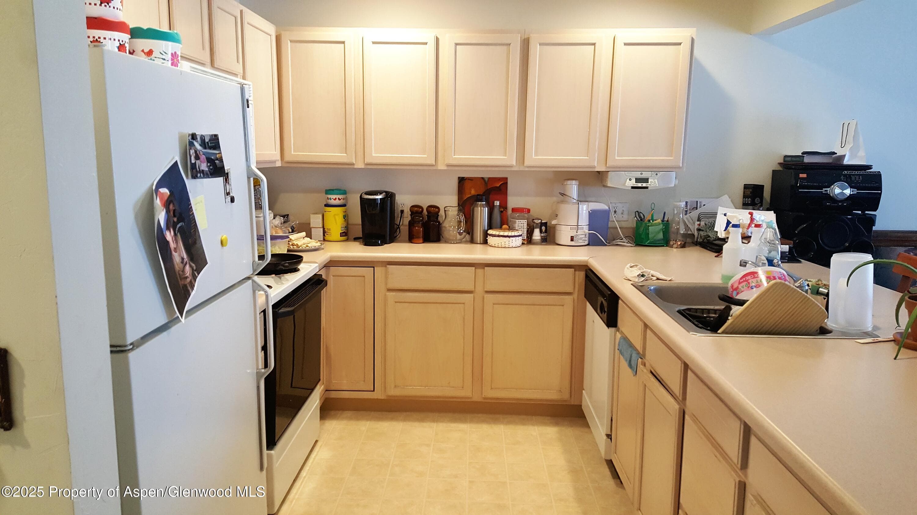 163 Orchard Lane, Glenwood Springs, CO 81601 - Photo 4