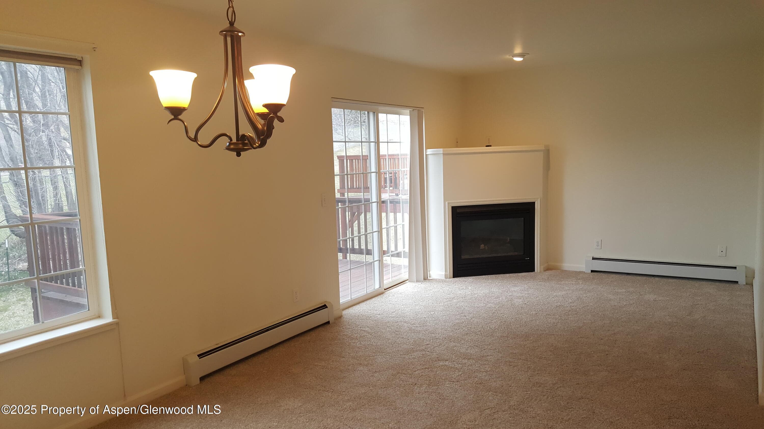 163 Orchard Lane, Glenwood Springs, CO 81601 - Photo 6