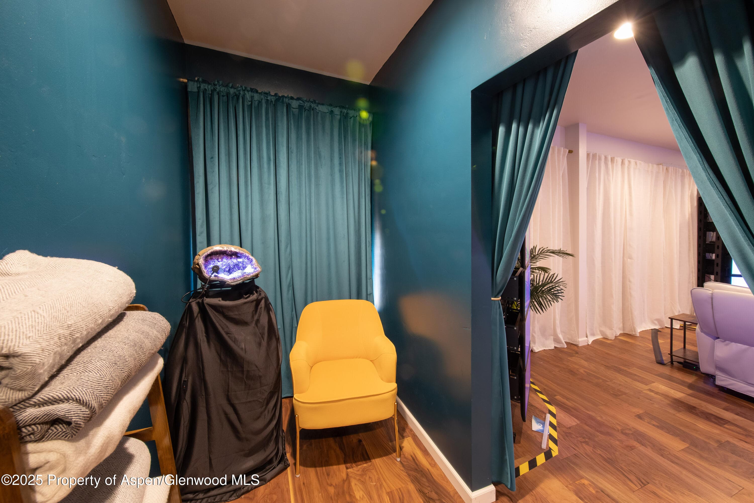 711 E Valley Road 202a, Basalt, CO 81621 - Photo 16