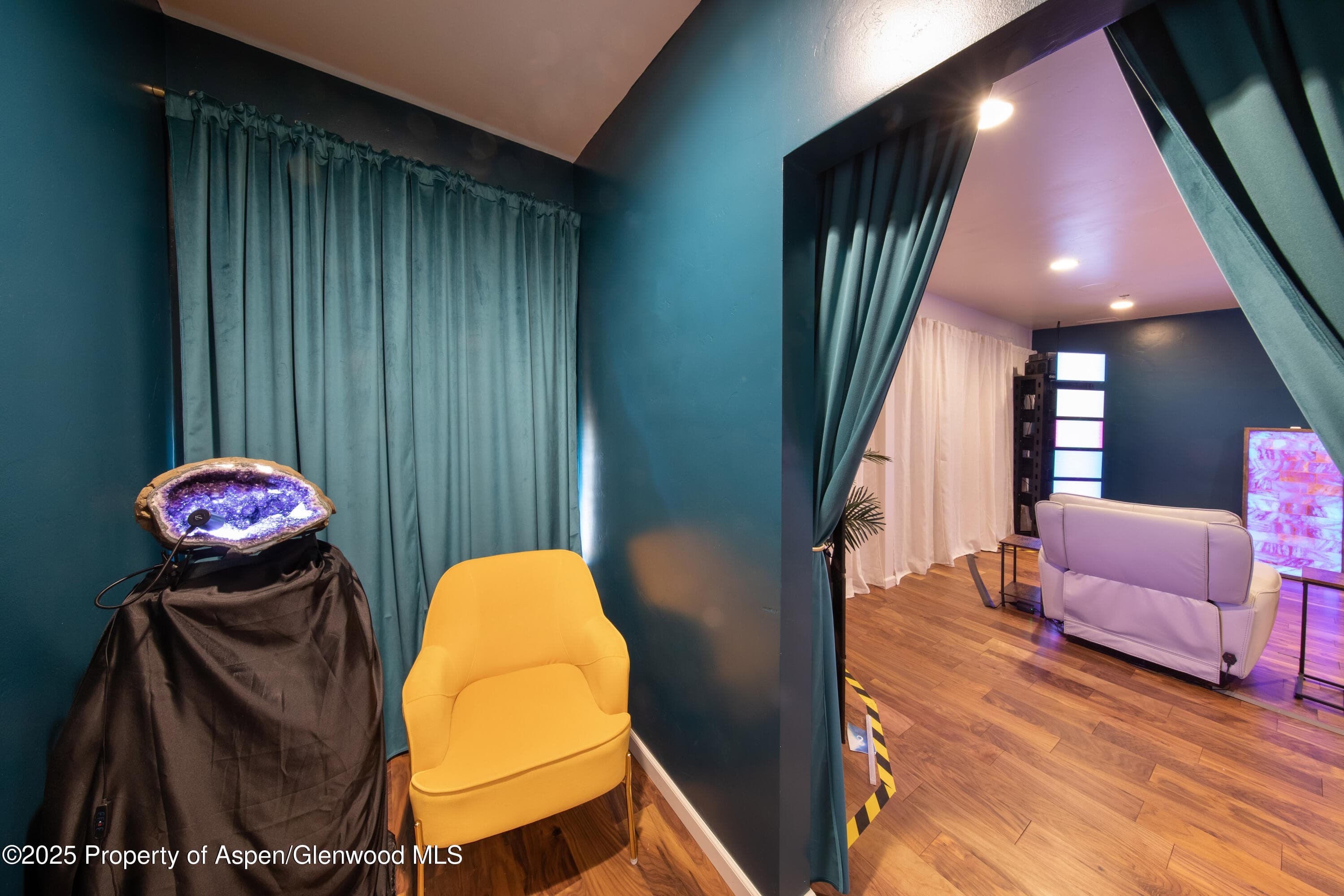 711 E Valley Road 202a, Basalt, CO 81621 - Photo 17