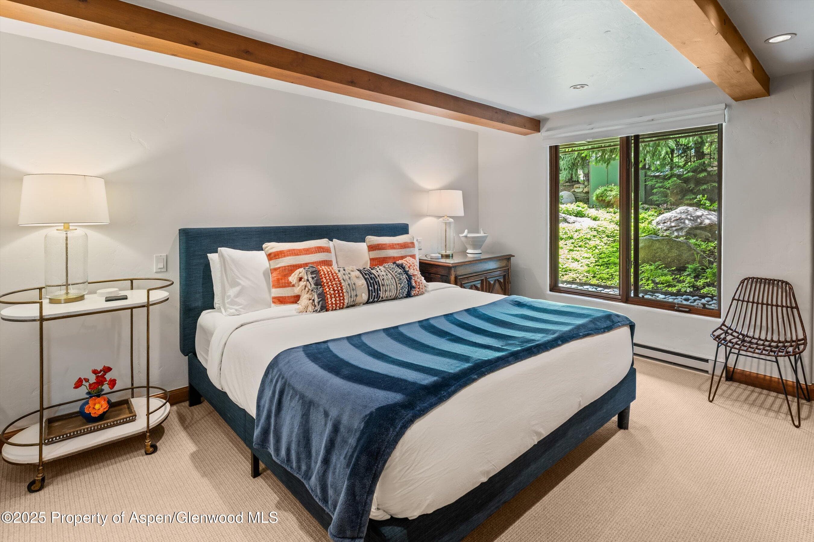 1034 E Cooper Avenue 16, Aspen, CO 81611 - Photo 11