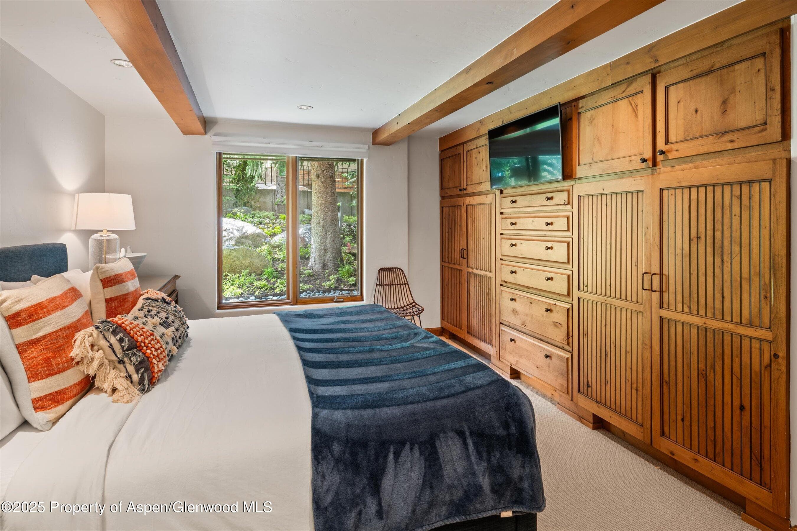 1034 E Cooper Avenue 16, Aspen, CO 81611 - Photo 12