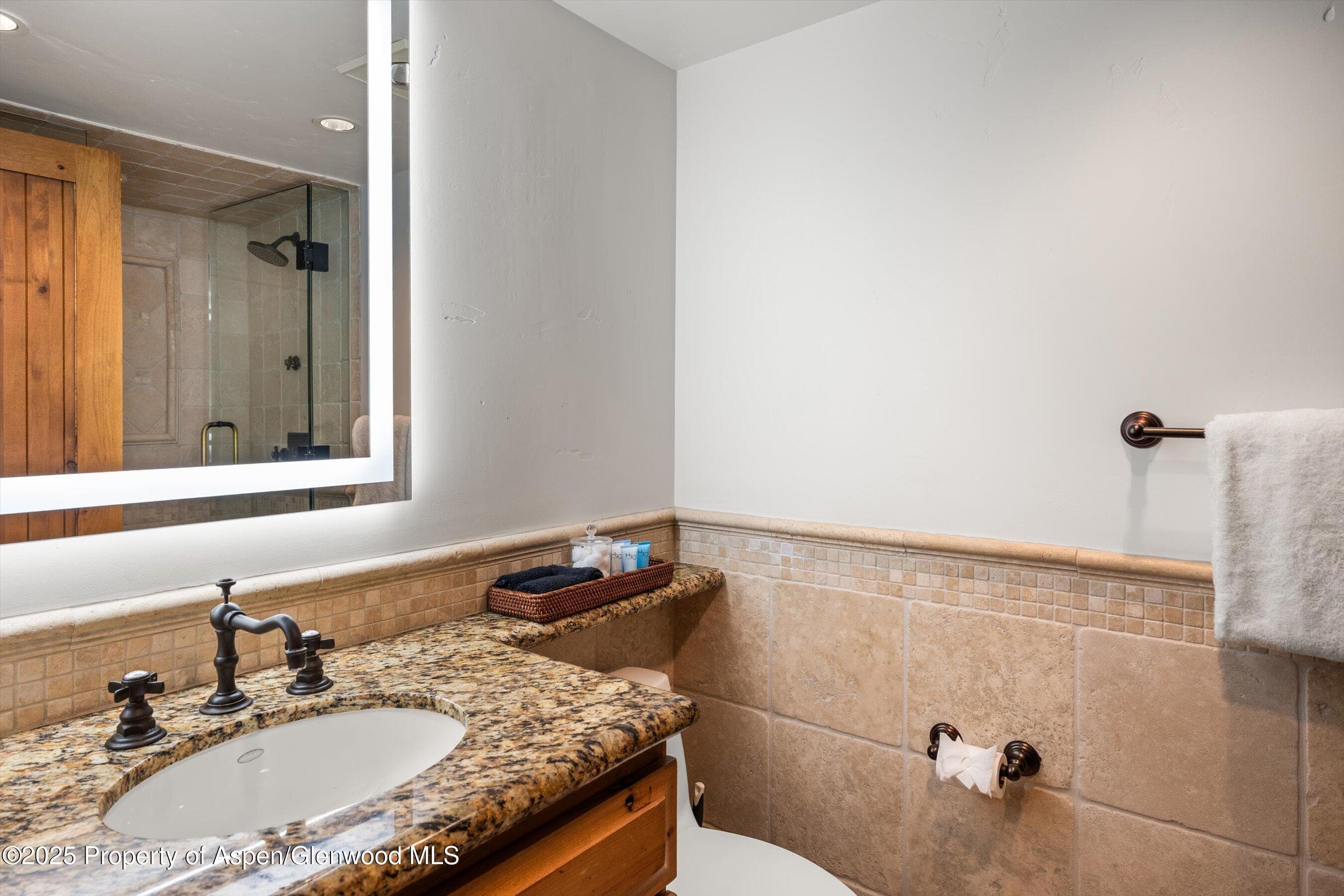 1034 E Cooper Avenue 16, Aspen, CO 81611 - Photo 13