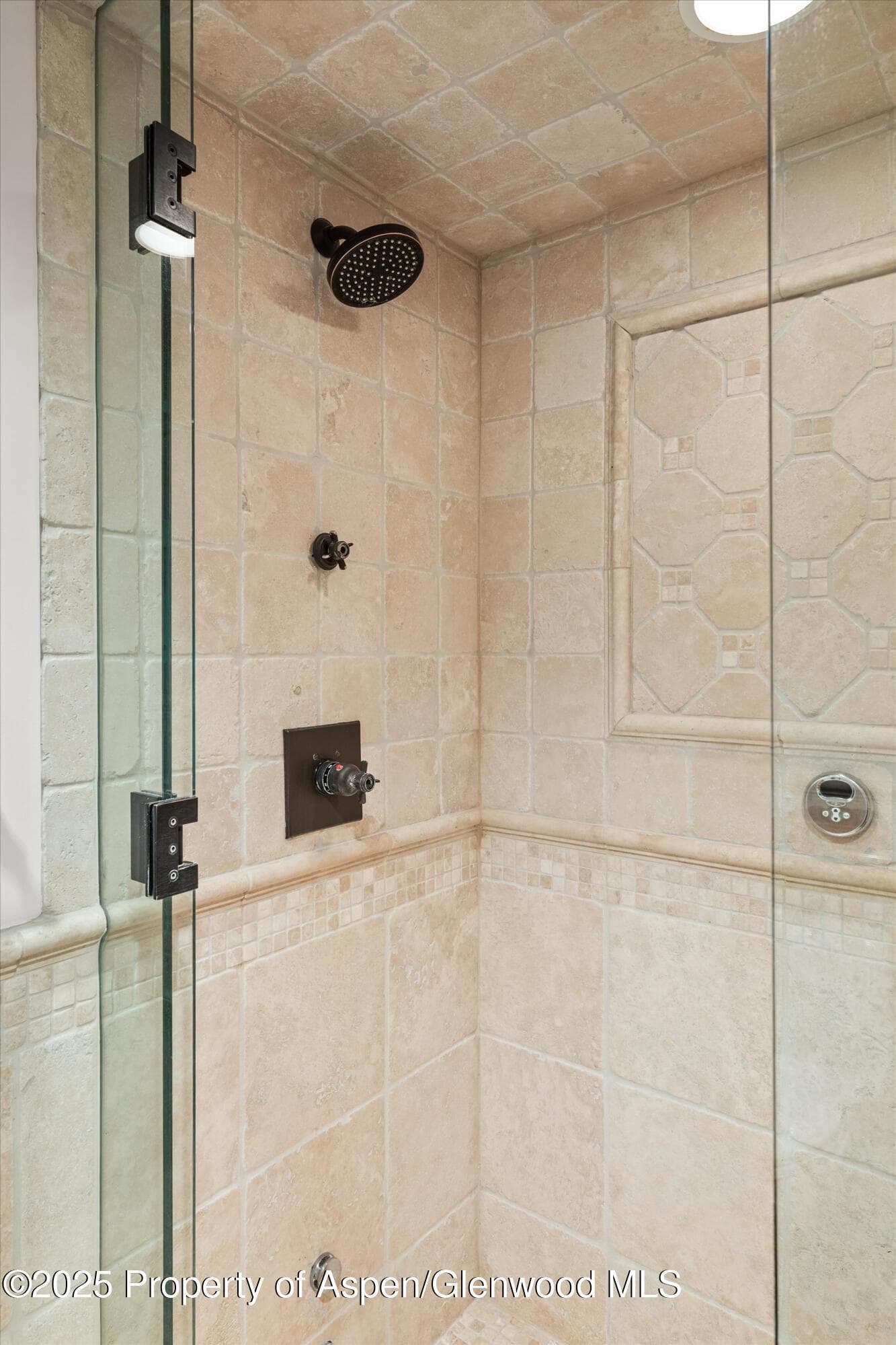 1034 E Cooper Avenue 16, Aspen, CO 81611 - Photo 14