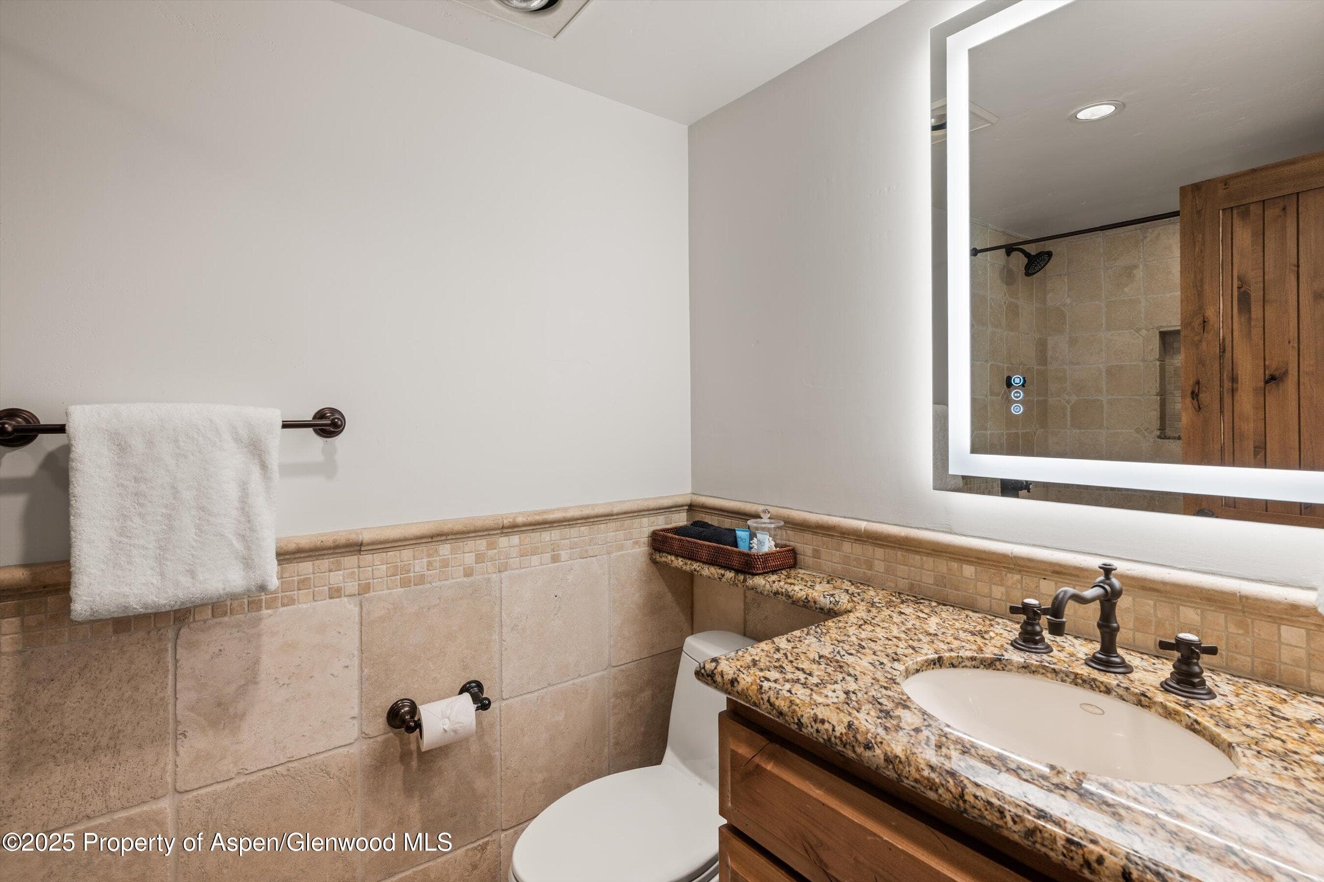 1034 E Cooper Avenue 16, Aspen, CO 81611 - Photo 16