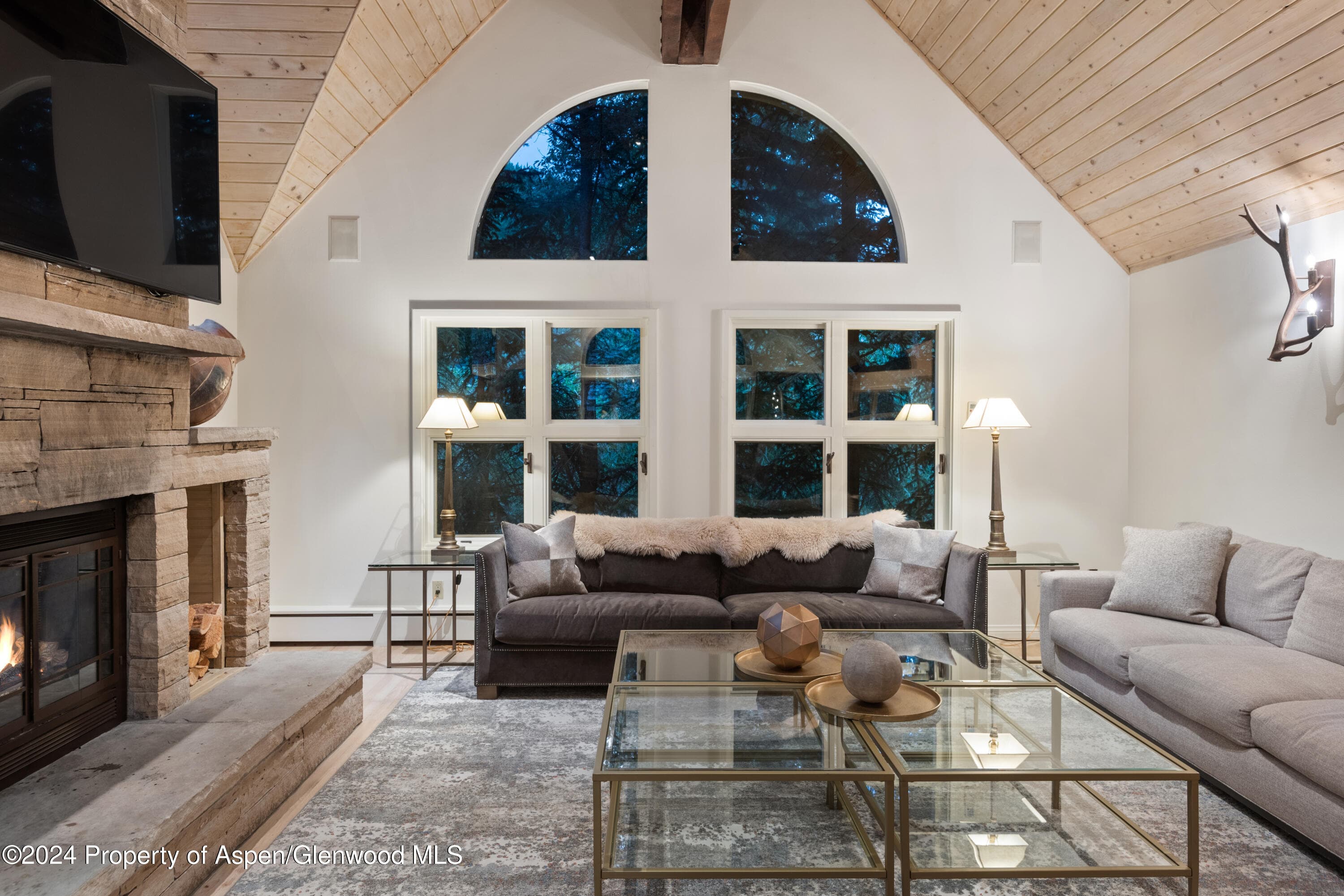 901 Ute Avenue, Aspen, CO 81611 - Photo 6
