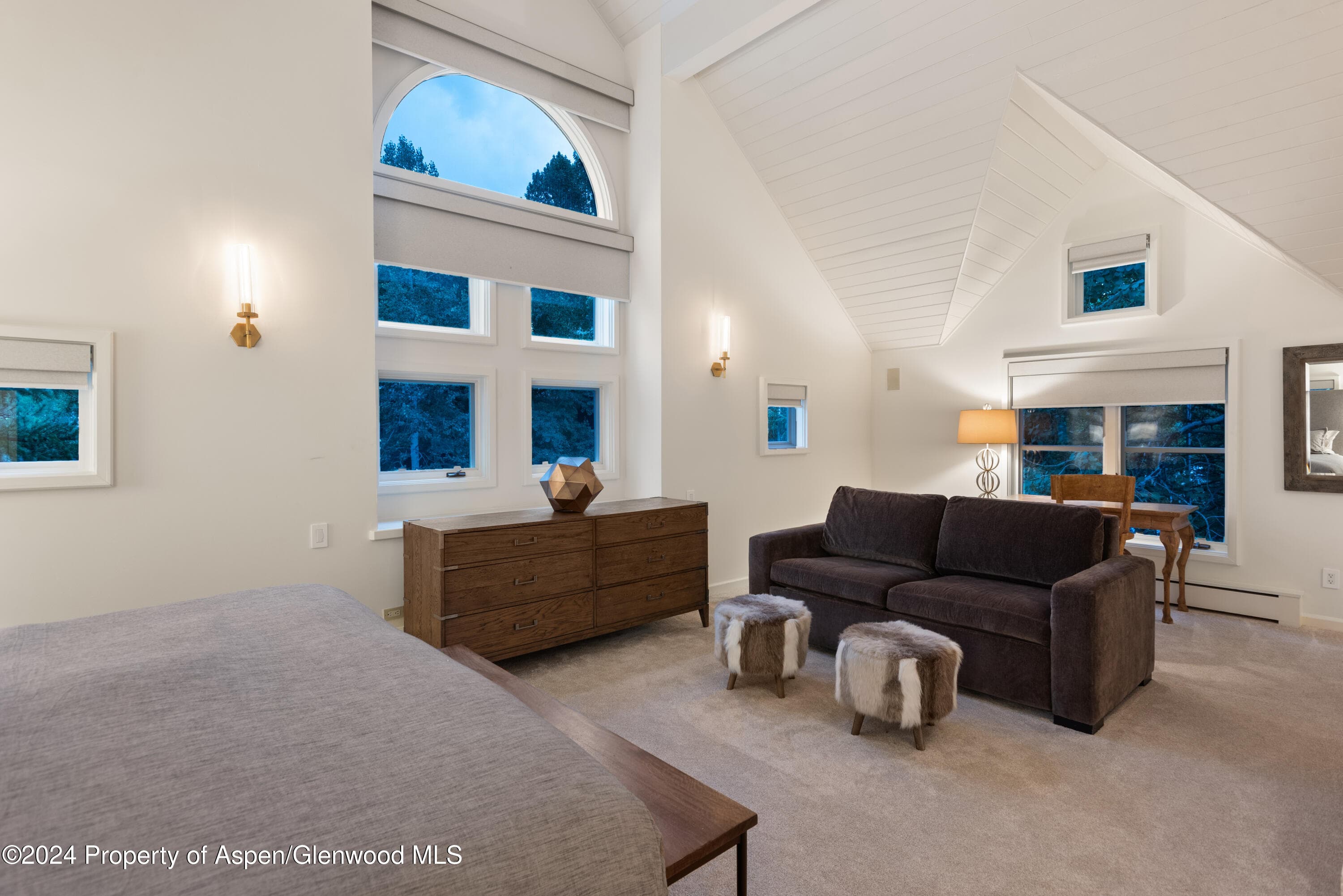 901 Ute Avenue, Aspen, CO 81611 - Photo 16