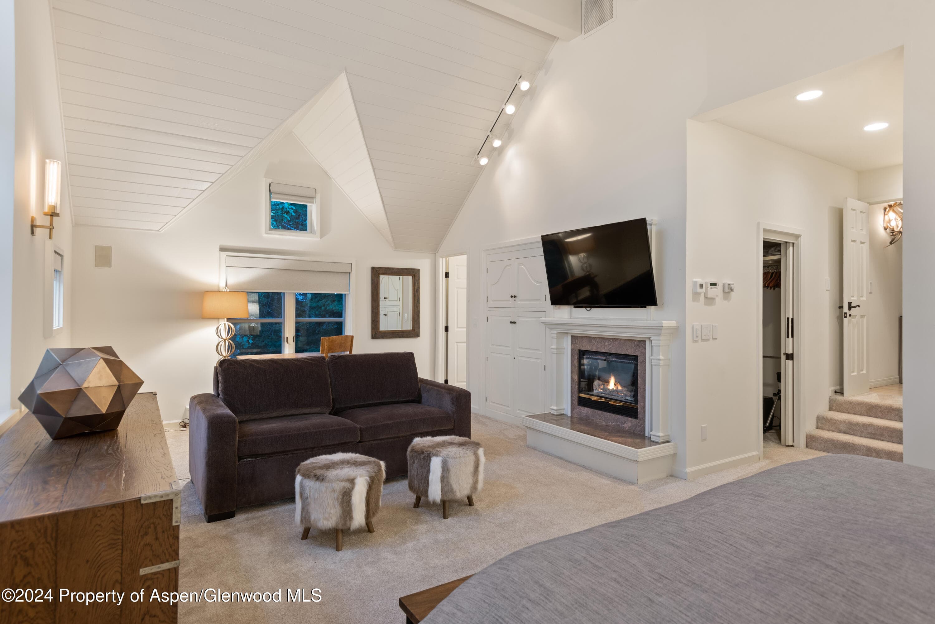 901 Ute Avenue, Aspen, CO 81611 - Photo 17