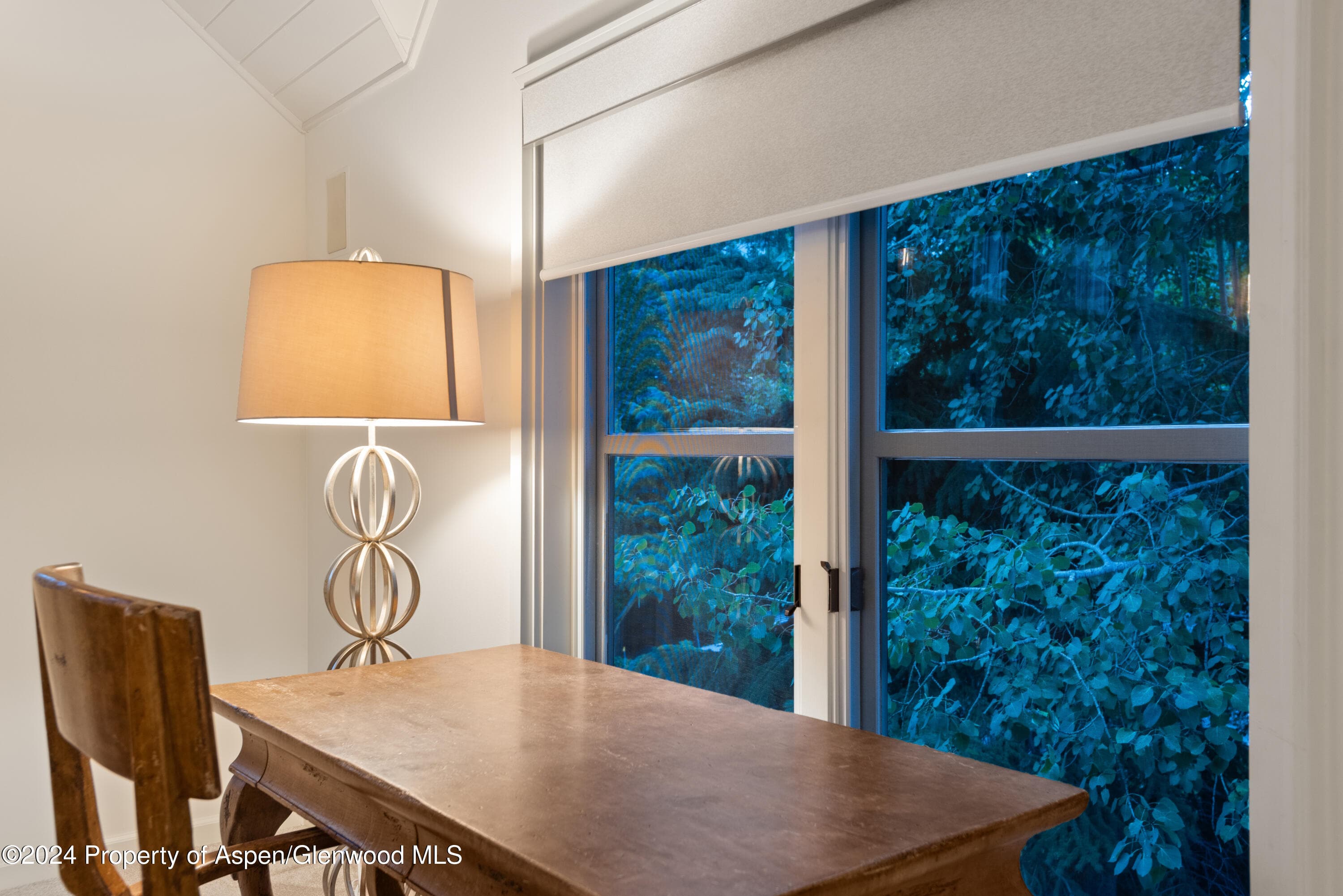 901 Ute Avenue, Aspen, CO 81611 - Photo 18