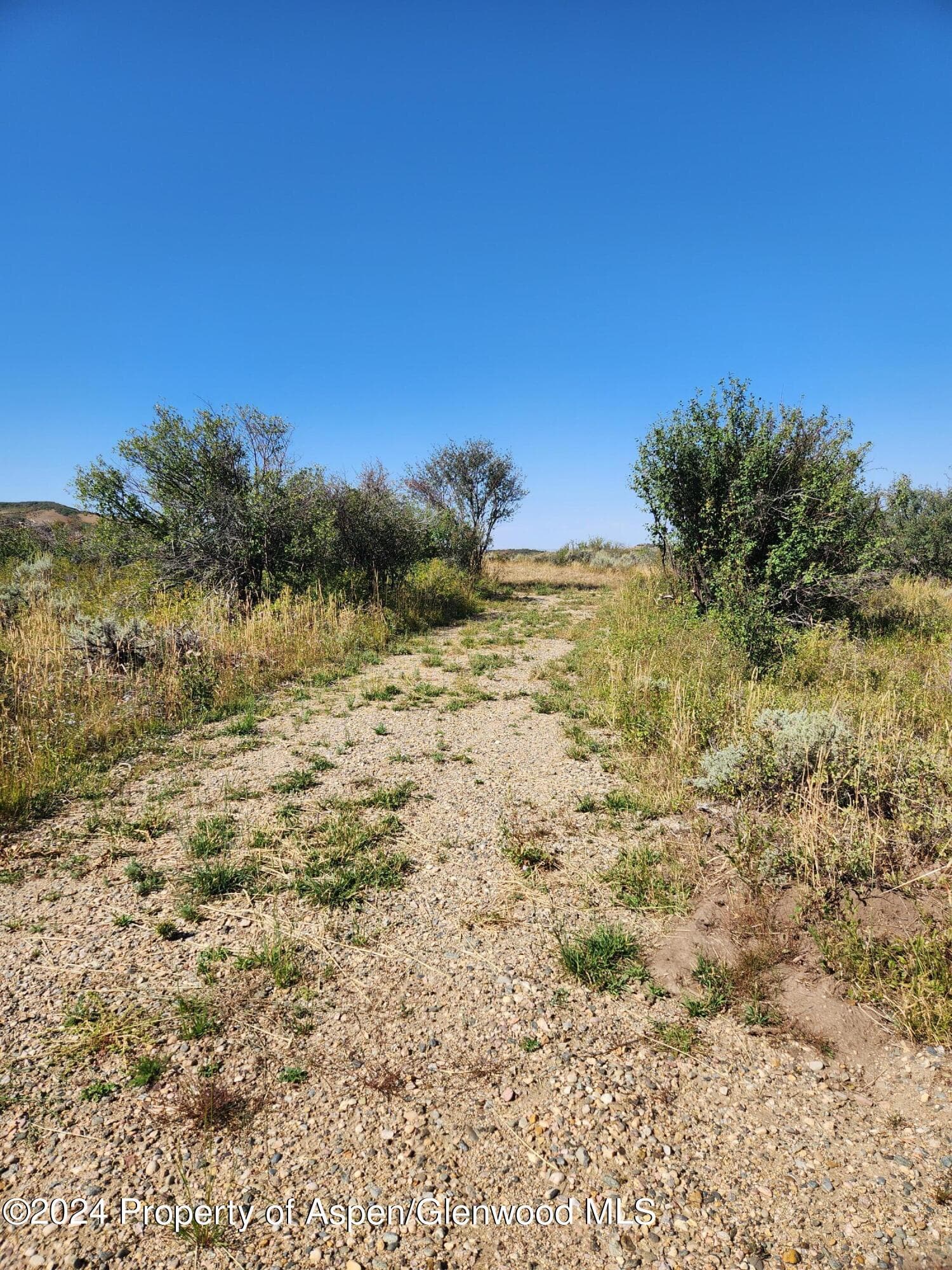 242 BOULDER Drive, Craig, CO 81625 - Photo 9
