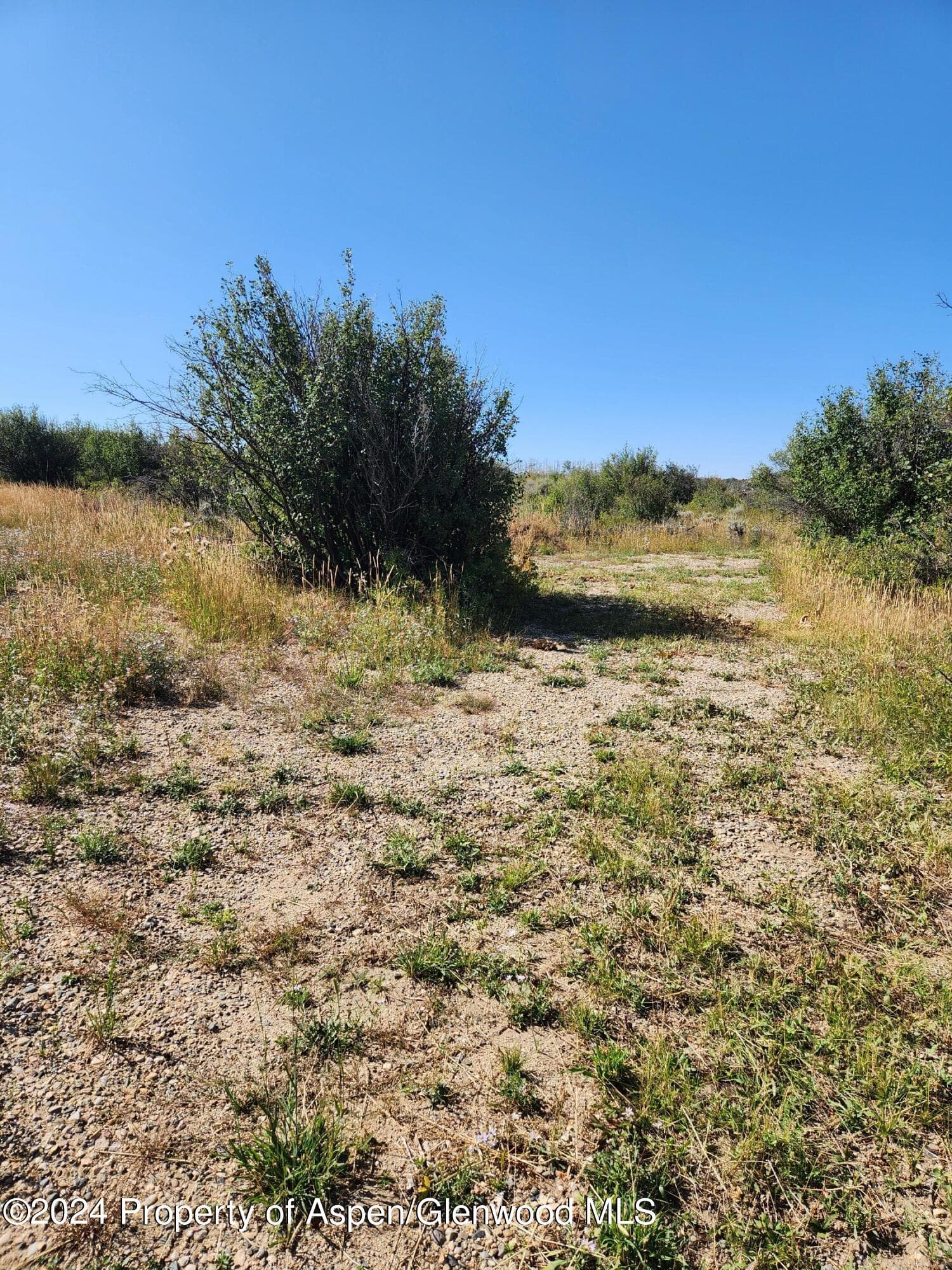 242 BOULDER Drive, Craig, CO 81625 - Photo 10
