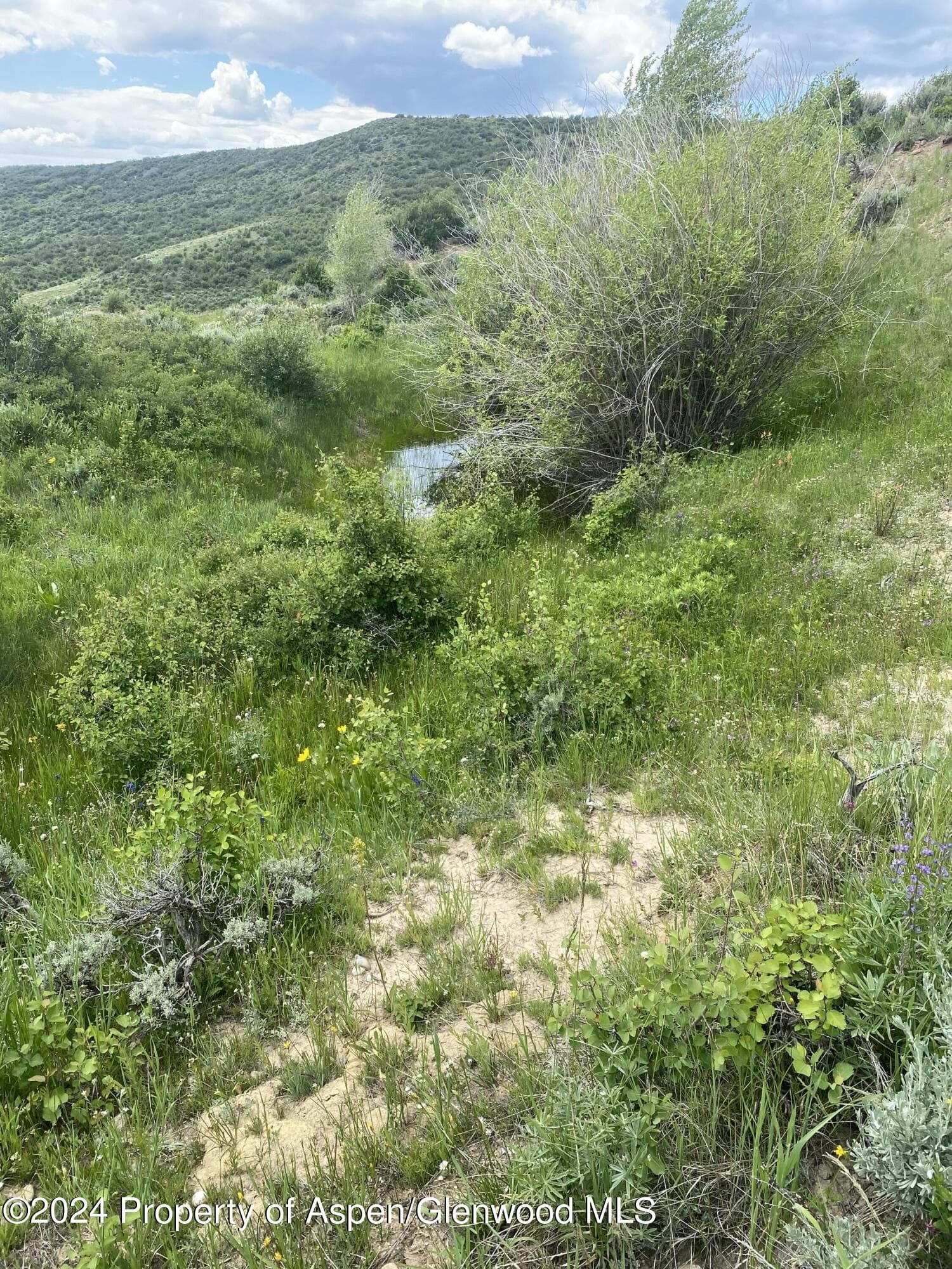 242 BOULDER Drive, Craig, CO 81625 - Photo 26