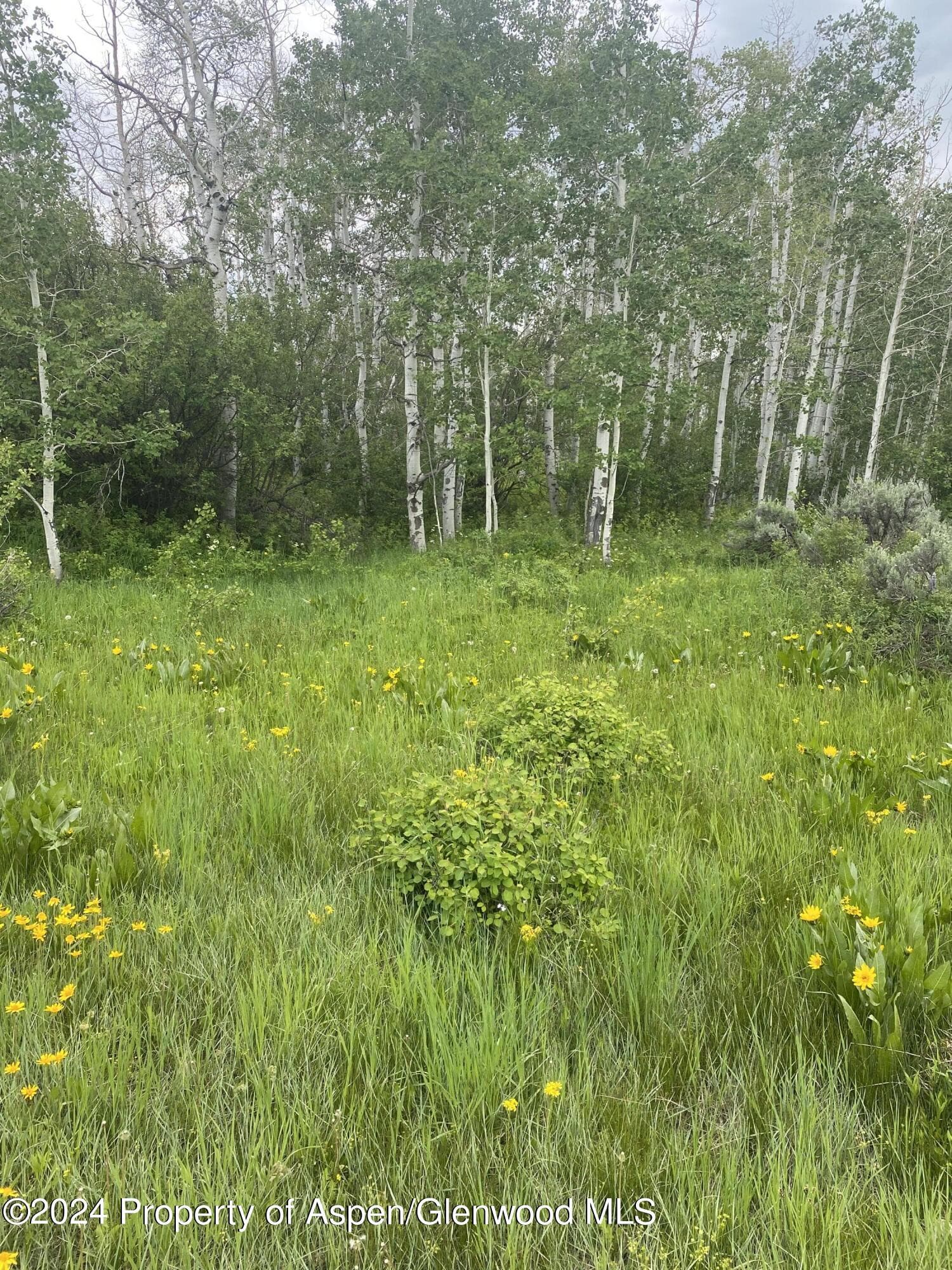 242 BOULDER Drive, Craig, CO 81625 - Photo 27