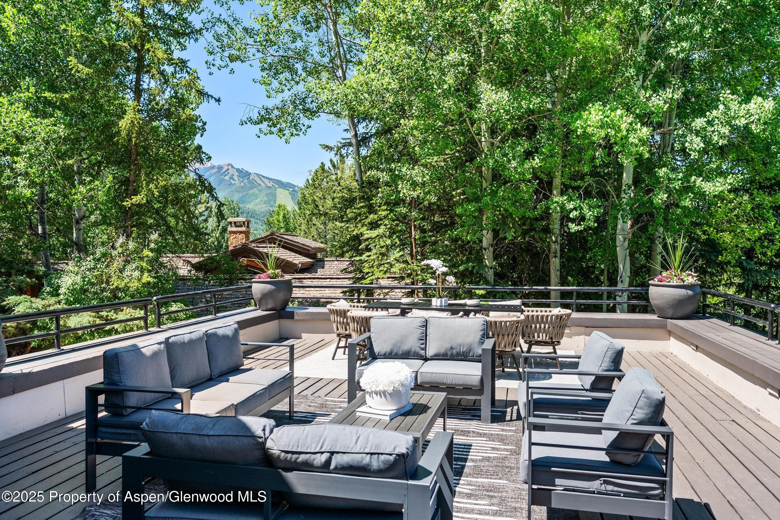 75 Bennett Court, Aspen, CO 81611 - Photo 41