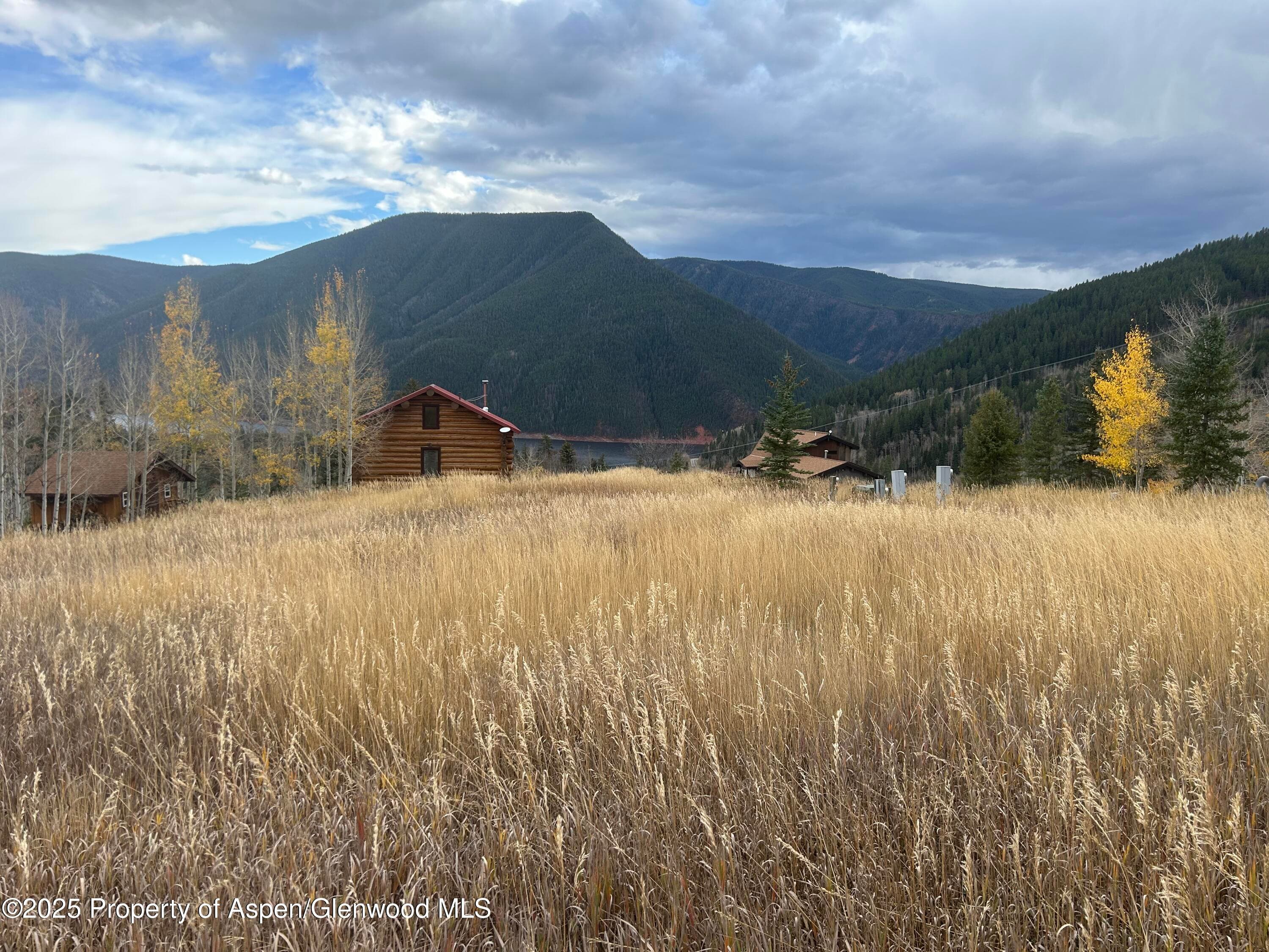 1239 McLaughlin Lane, Basalt, CO 81621 - Photo 5