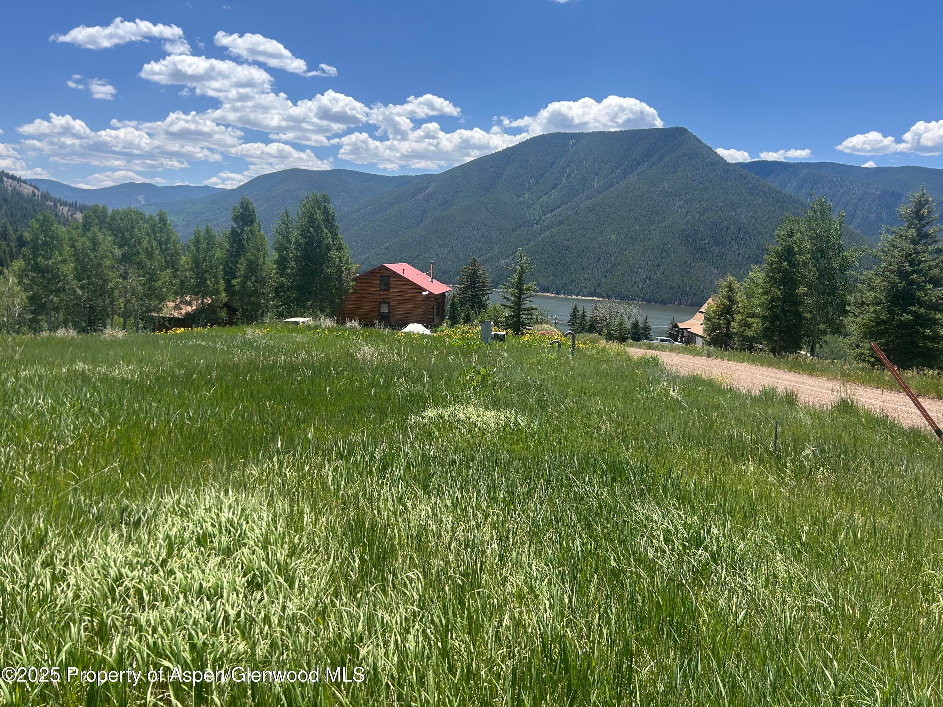 1239 McLaughlin Lane, Basalt, CO 81621 - Photo 10