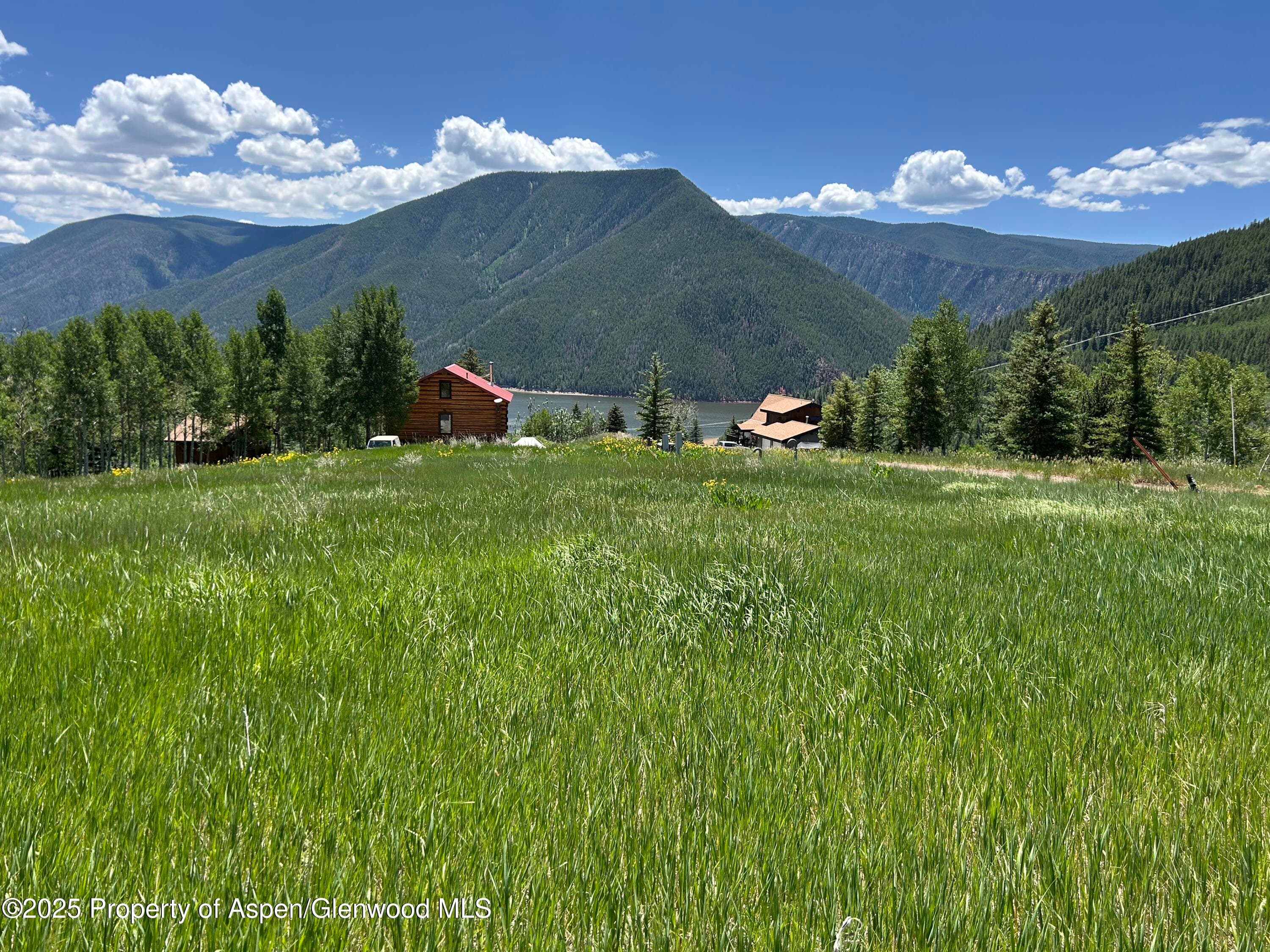 1239 McLaughlin Lane, Basalt, CO 81621 - Photo 1