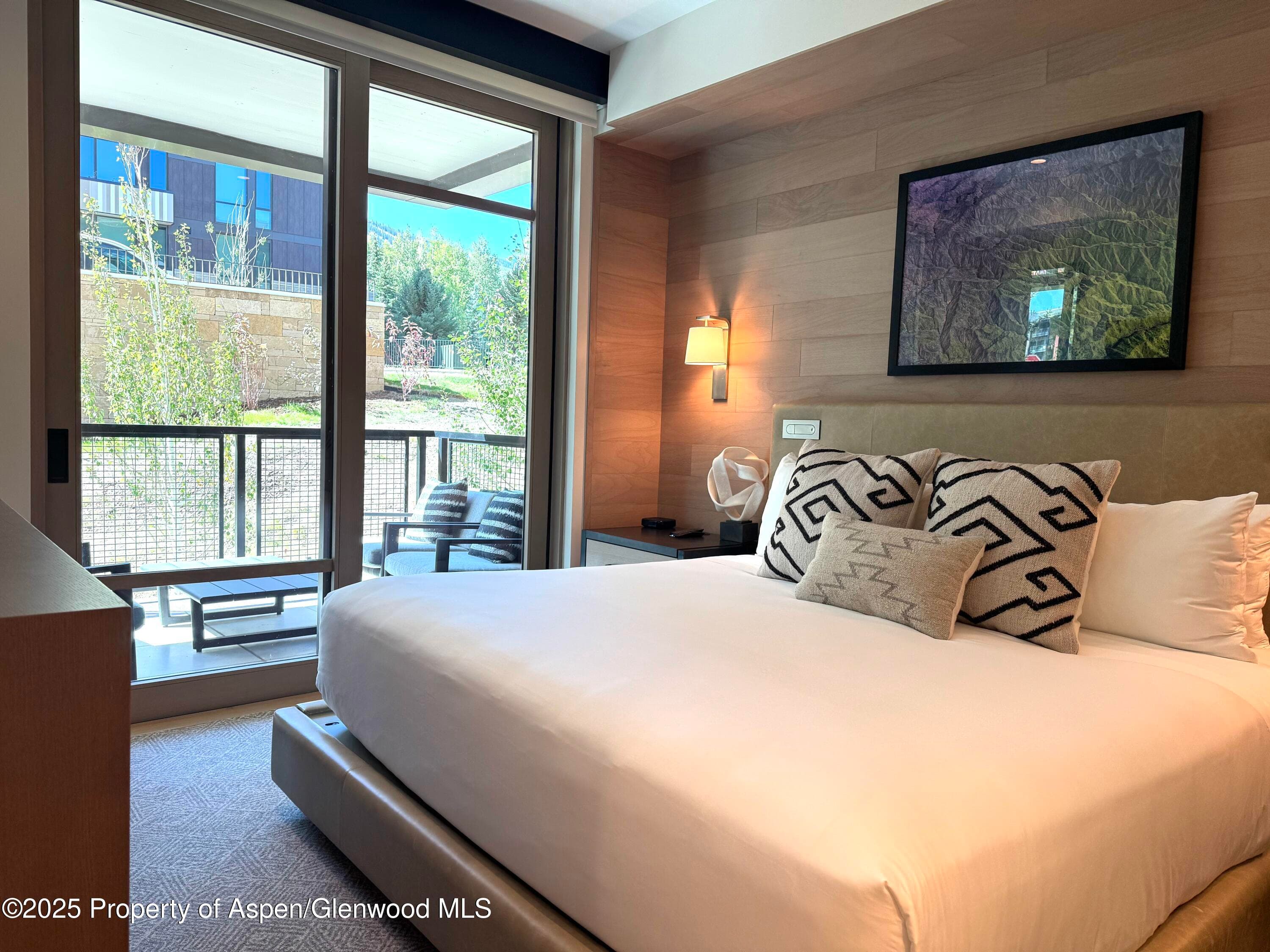 130 Wood Road 257/259, Snowmass Village, CO 81615 - Photo 5