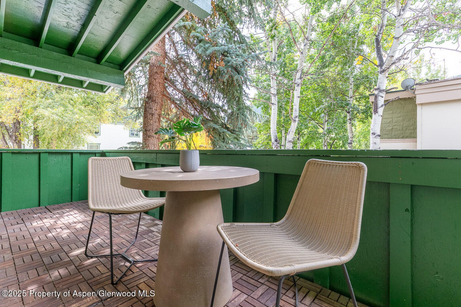 415 Park Circle 5, Aspen, CO 81611 - Photo 19