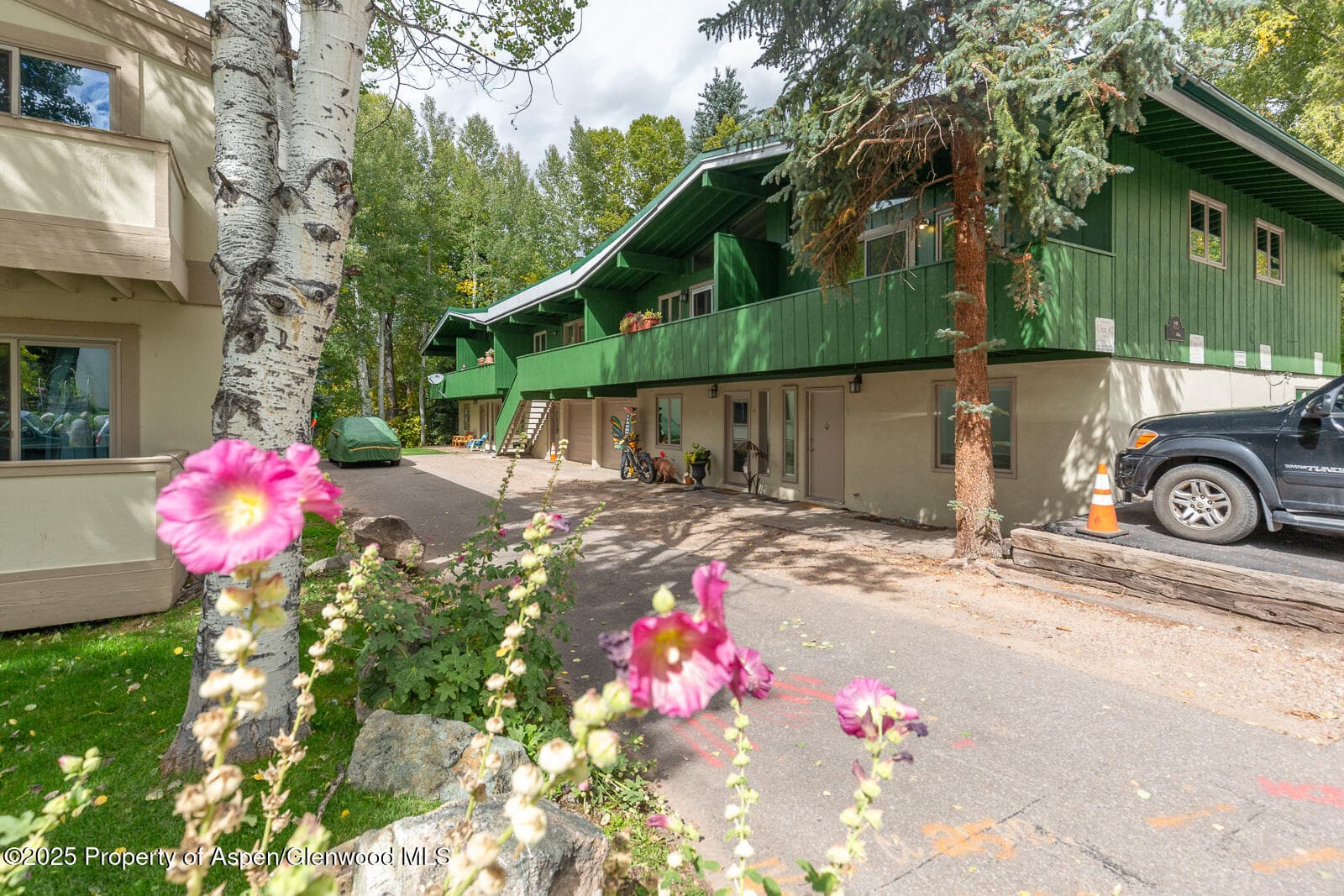 415 Park Circle 5, Aspen, CO 81611 - Photo 20