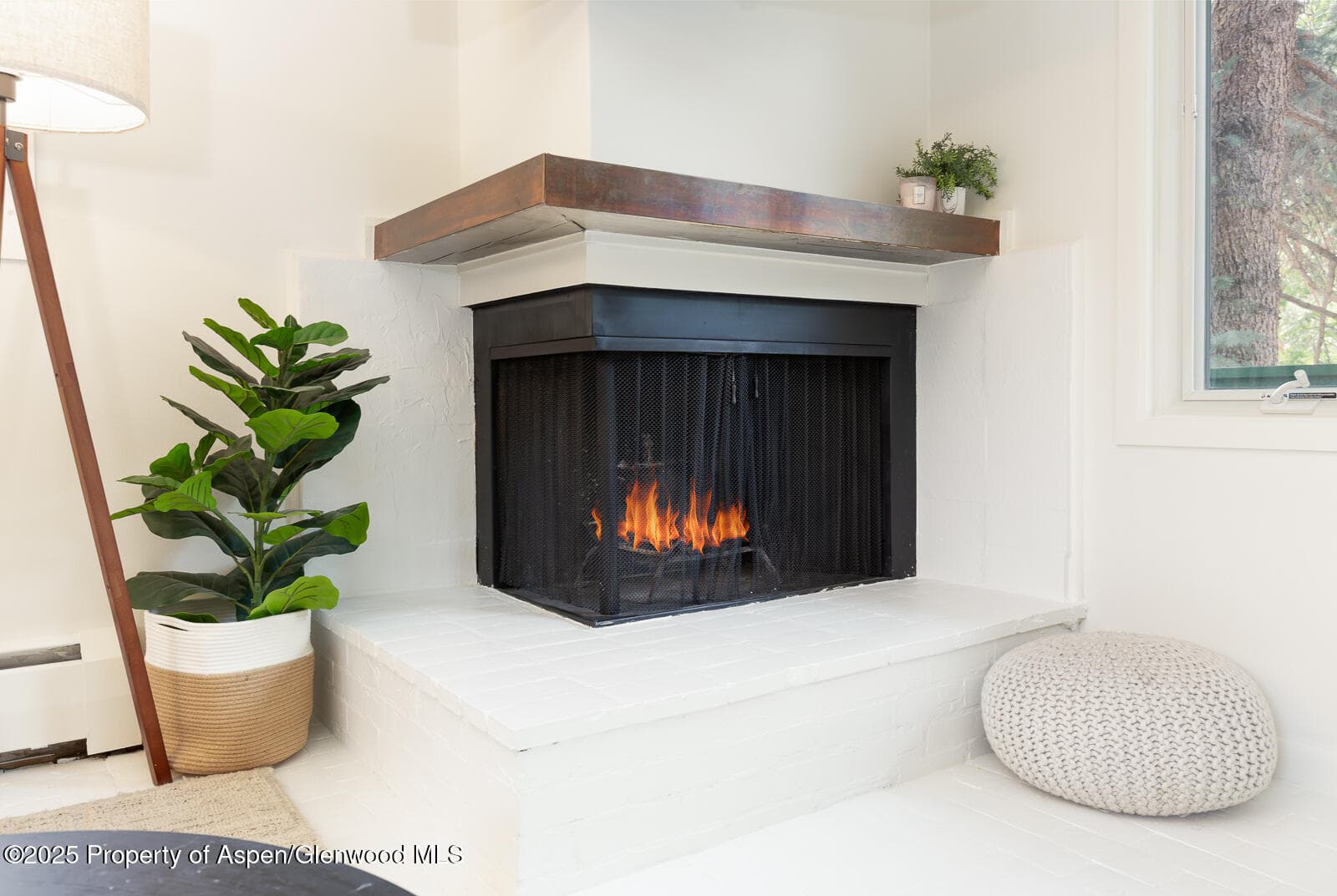 415 Park Circle 5, Aspen, CO 81611 - Photo 7