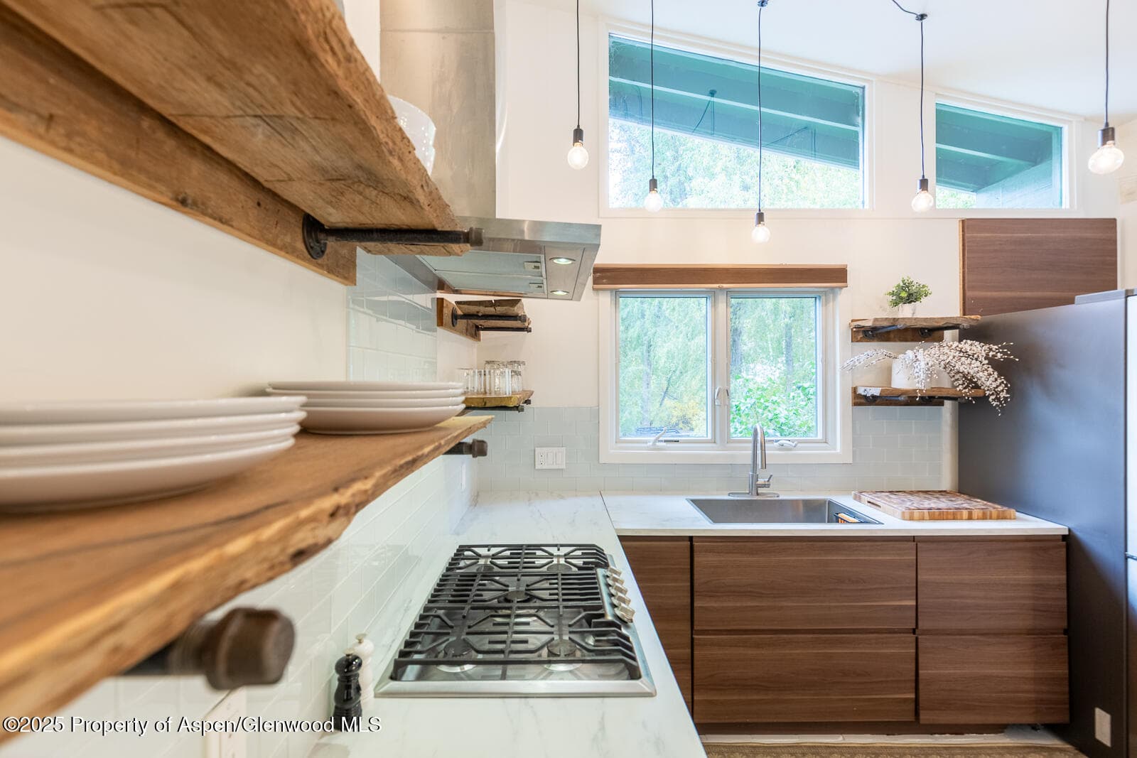 415 Park Circle 5, Aspen, CO 81611 - Photo 5