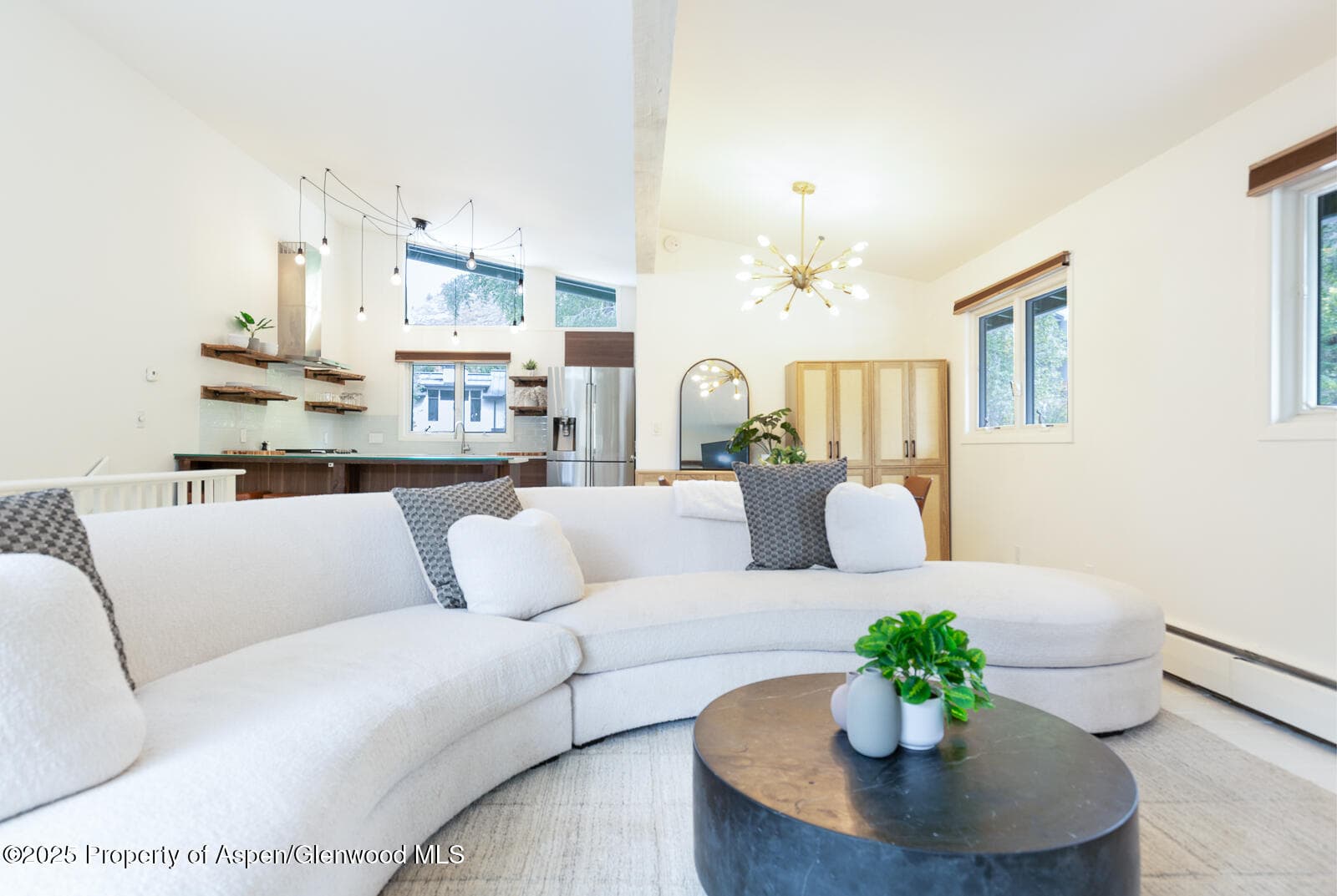 415 Park Circle 5, Aspen, CO 81611 - Photo 3