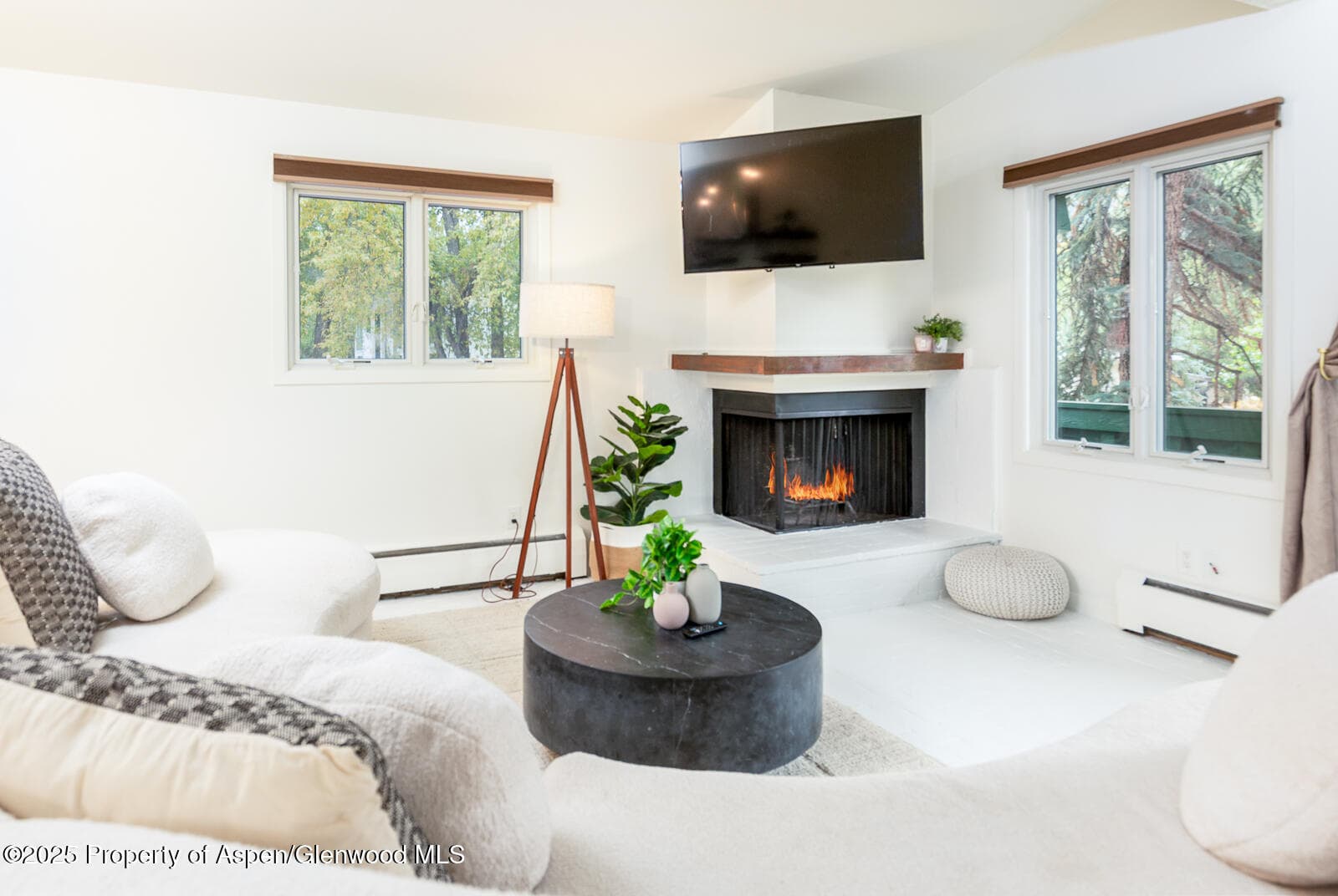 415 Park Circle 5, Aspen, CO 81611 - Photo 2