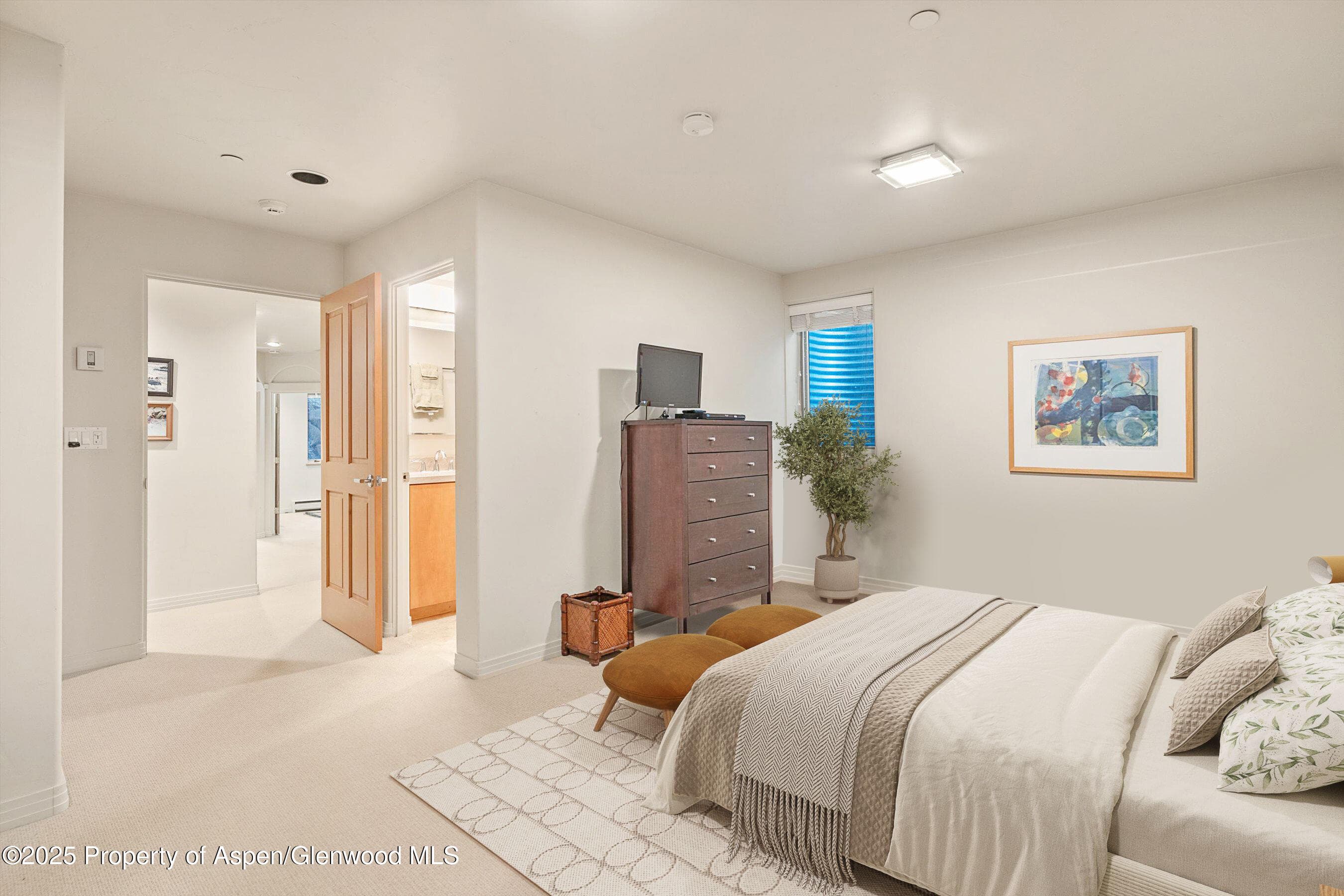 734 W Smuggler Street, Aspen, CO 81611 - Photo 26