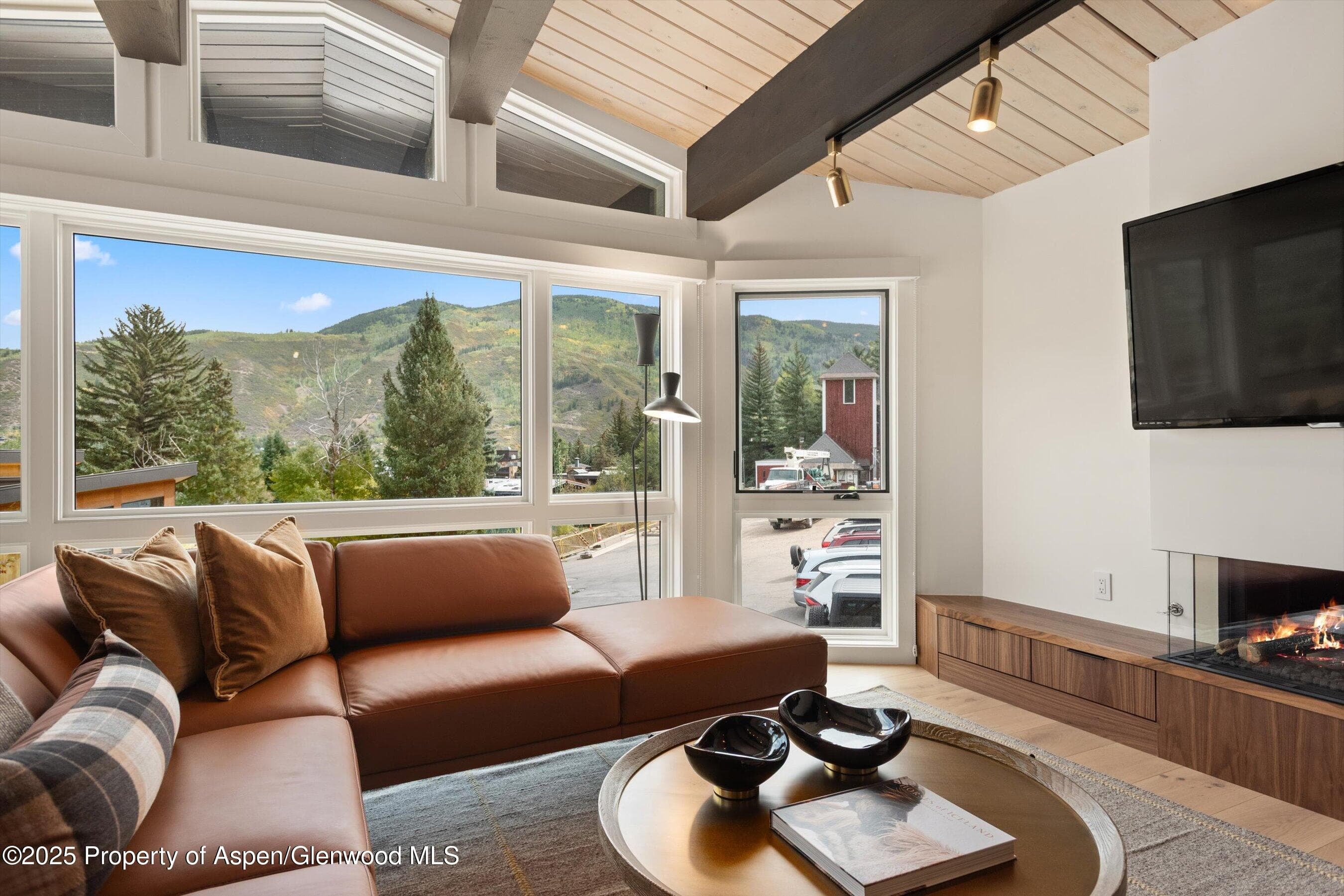 809 S Aspen Street 2, Aspen, CO 81611 - Photo 4