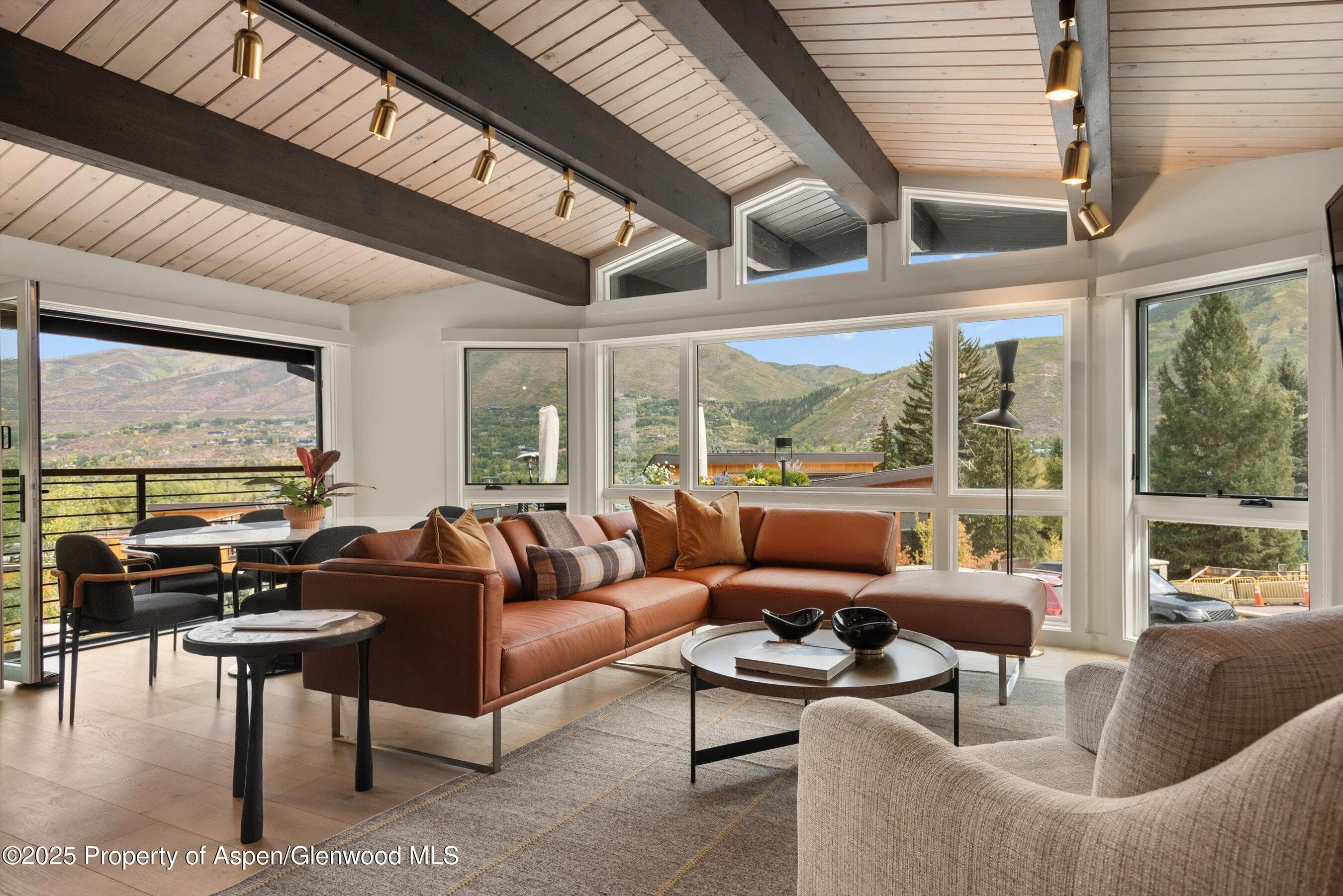 809 S Aspen Street 2, Aspen, CO 81611 - Photo 5