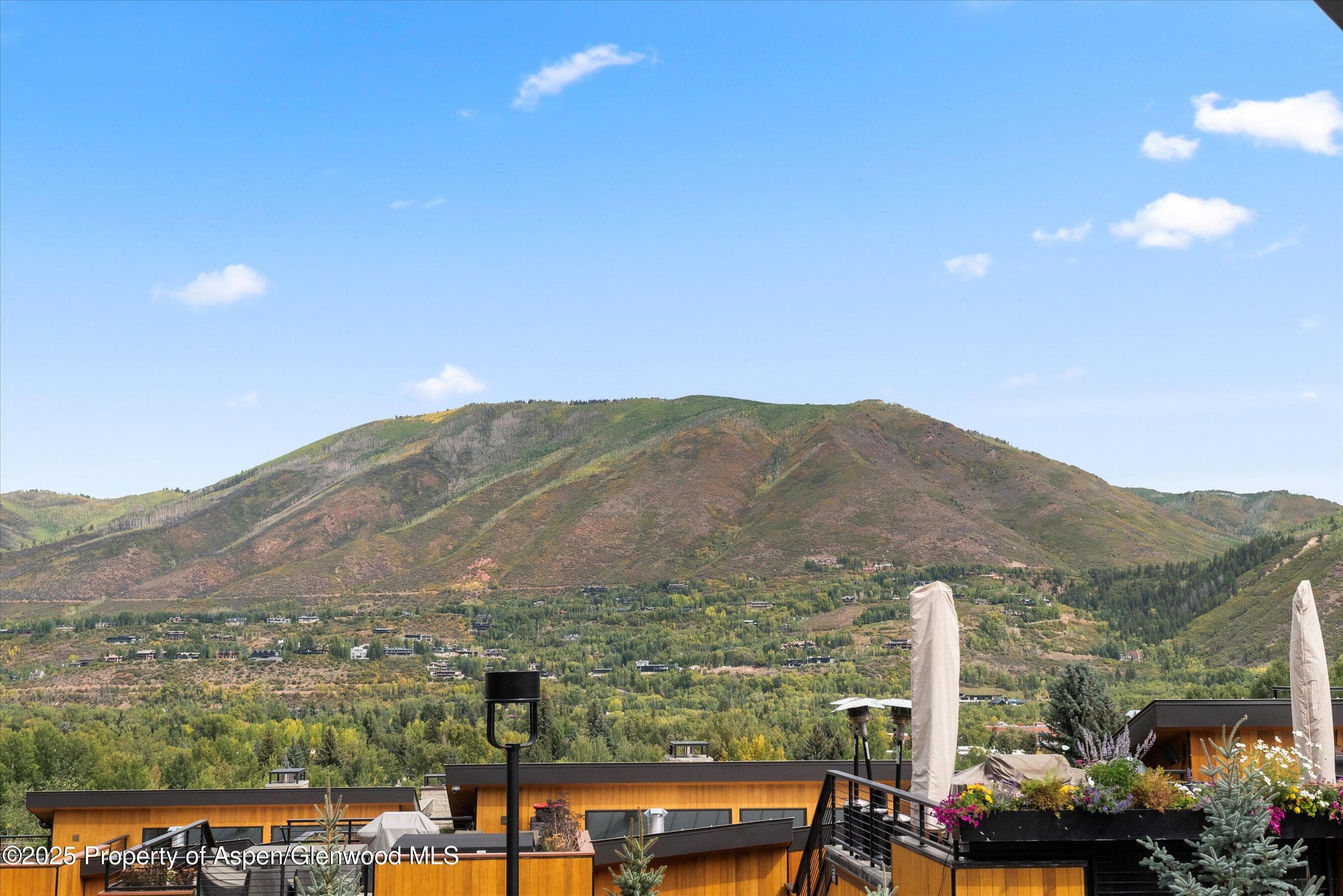 809 S Aspen Street 2, Aspen, CO 81611 - Photo 23